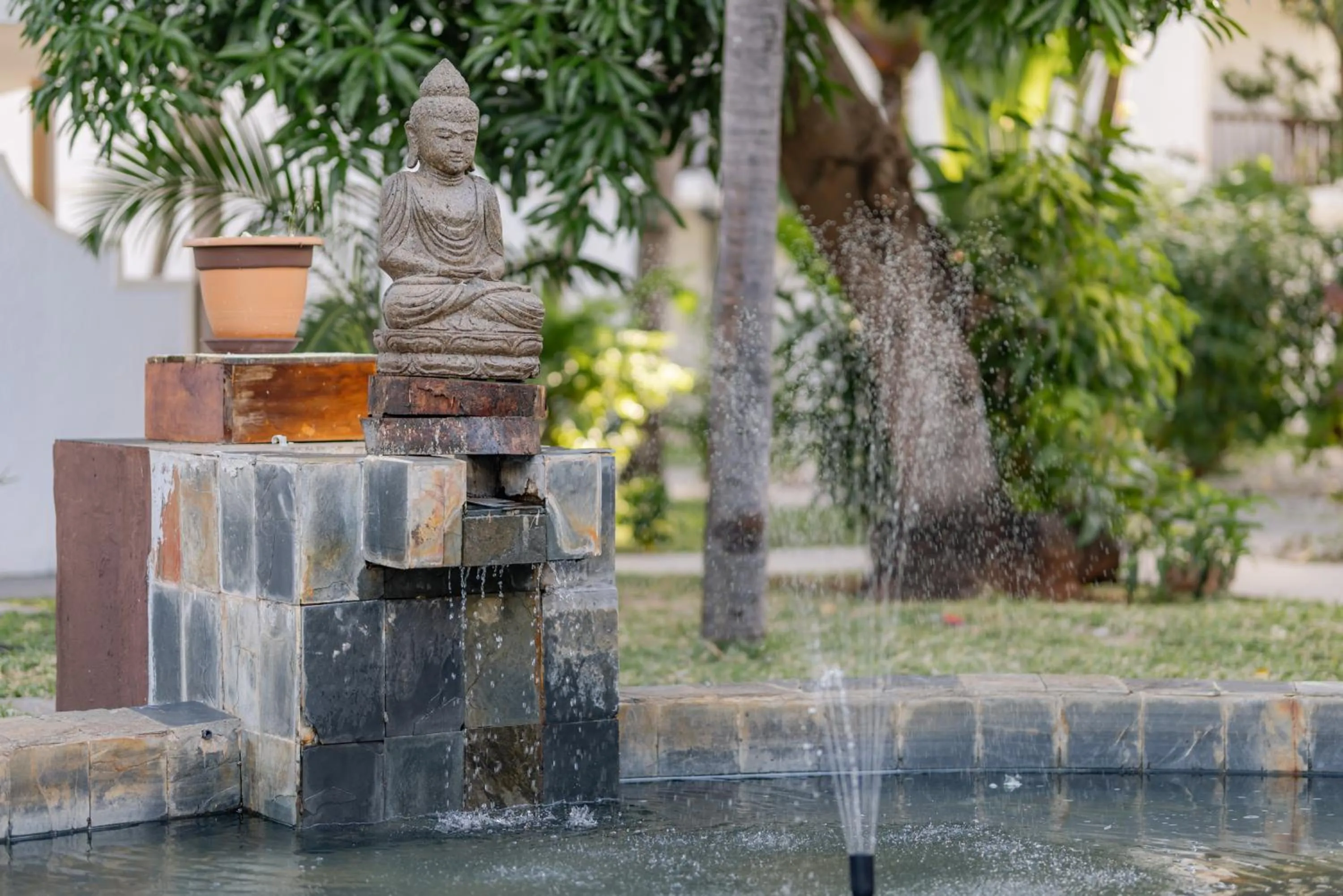 Garden in Cocotiers Hotel – Mauritius