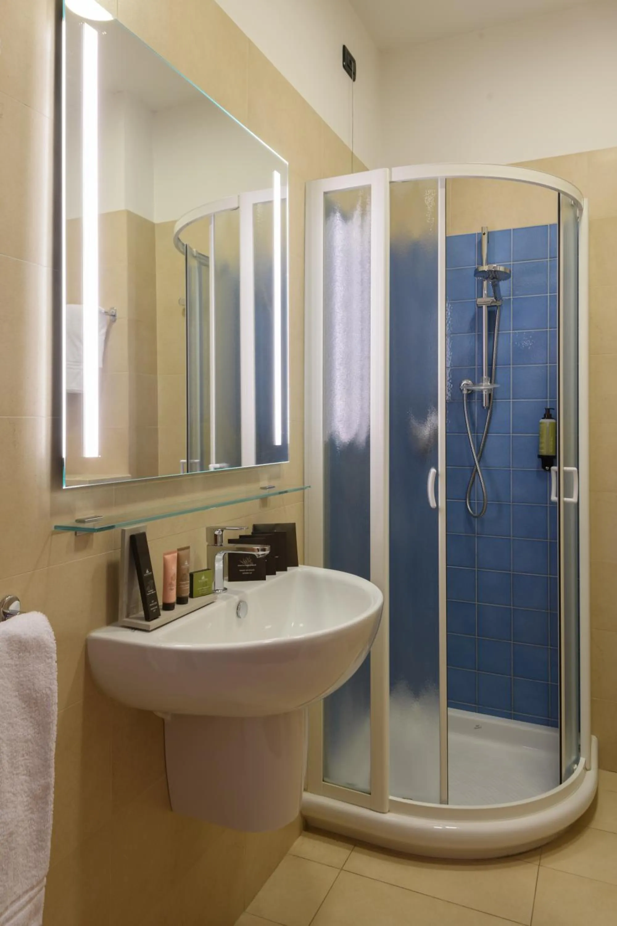 Shower in Hotel & Apartments Sasso