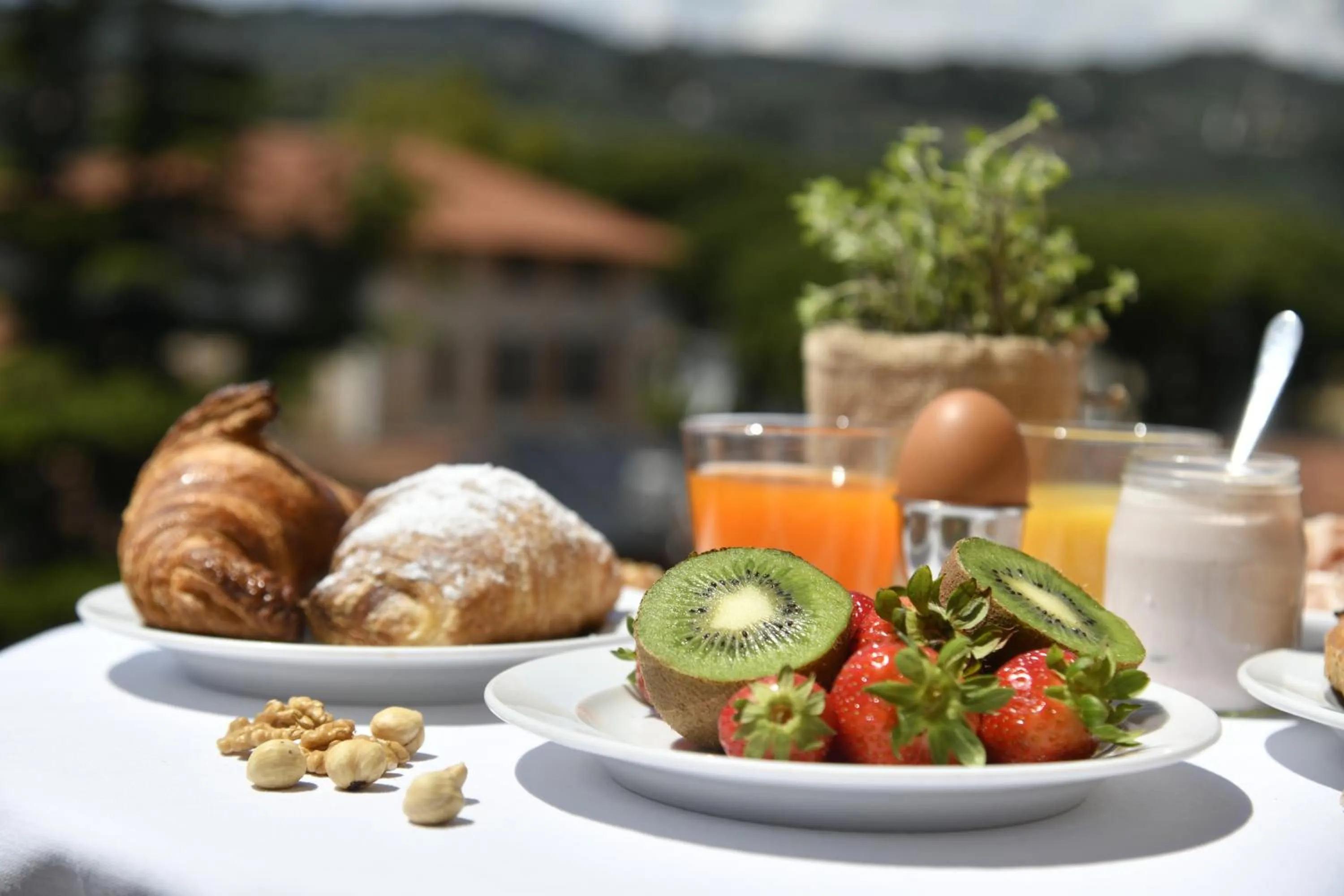 Food and drinks in Hotel & Apartments Sasso