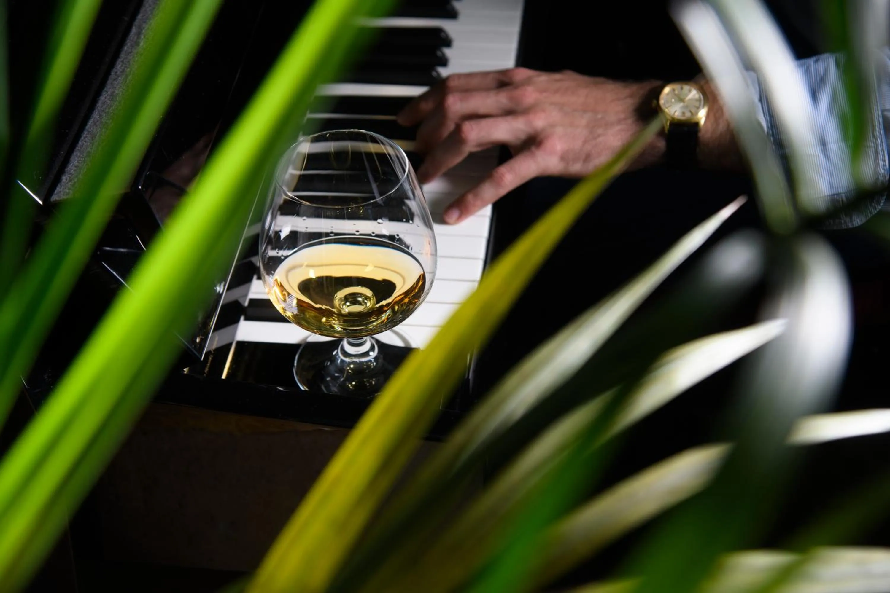 Lounge or bar in Hotel & Apartments Sasso