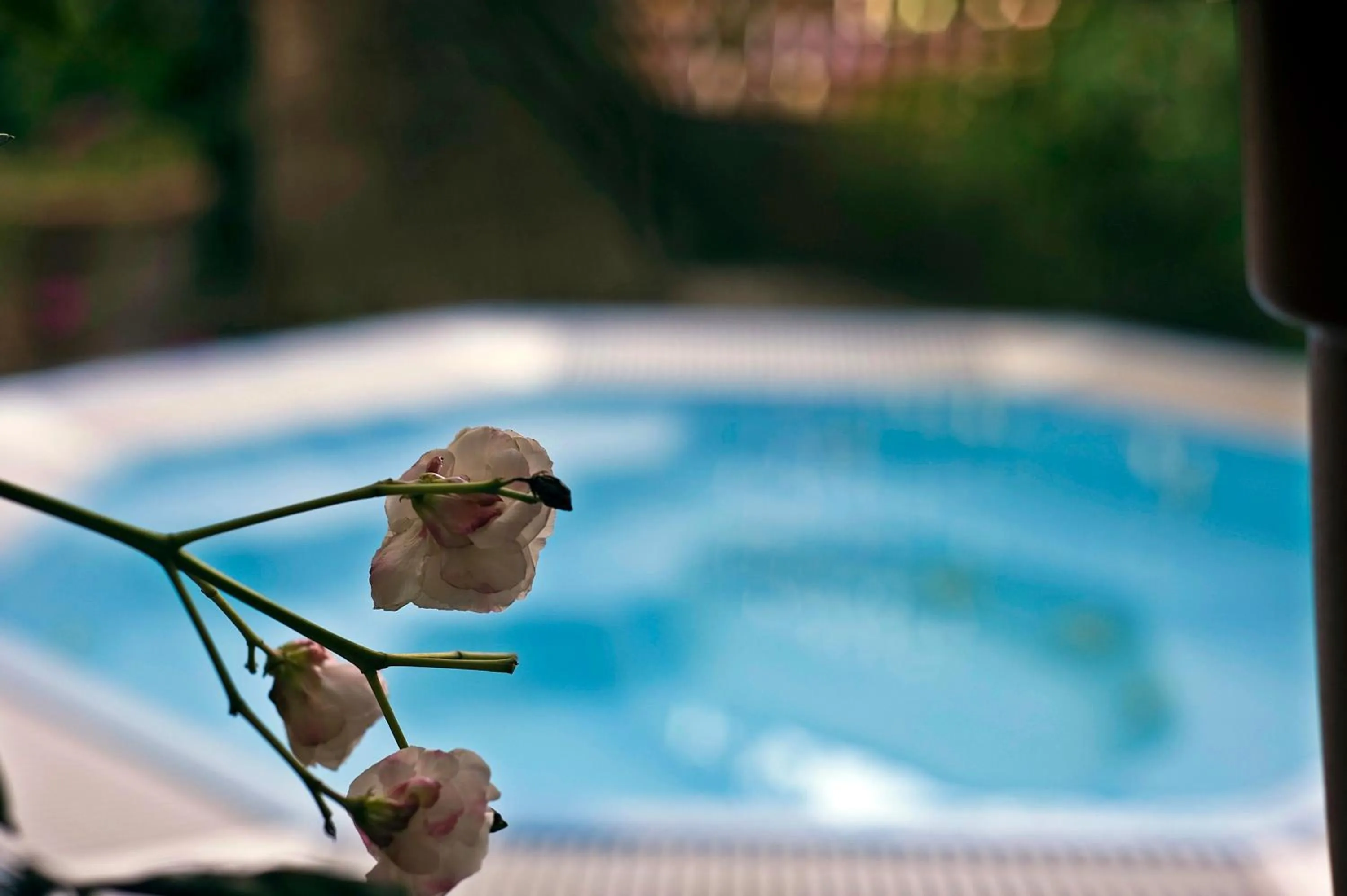 Swimming pool in Hotel Leuco'