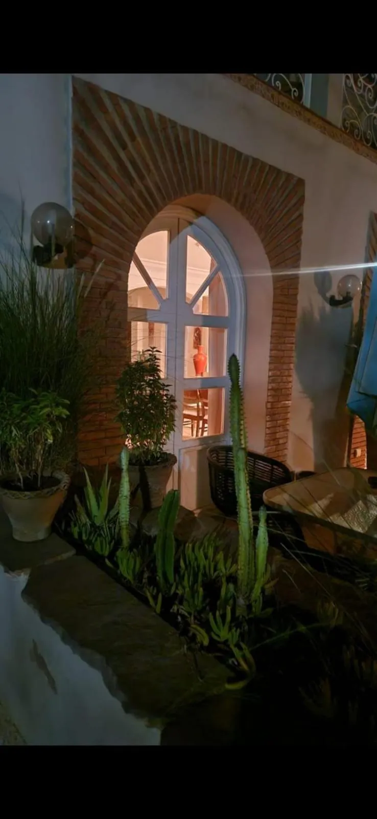 Garden in Hacienda Marrakech