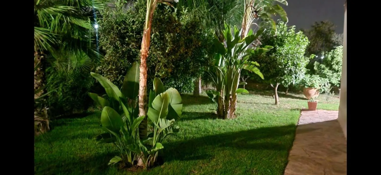 Garden in Hacienda Marrakech