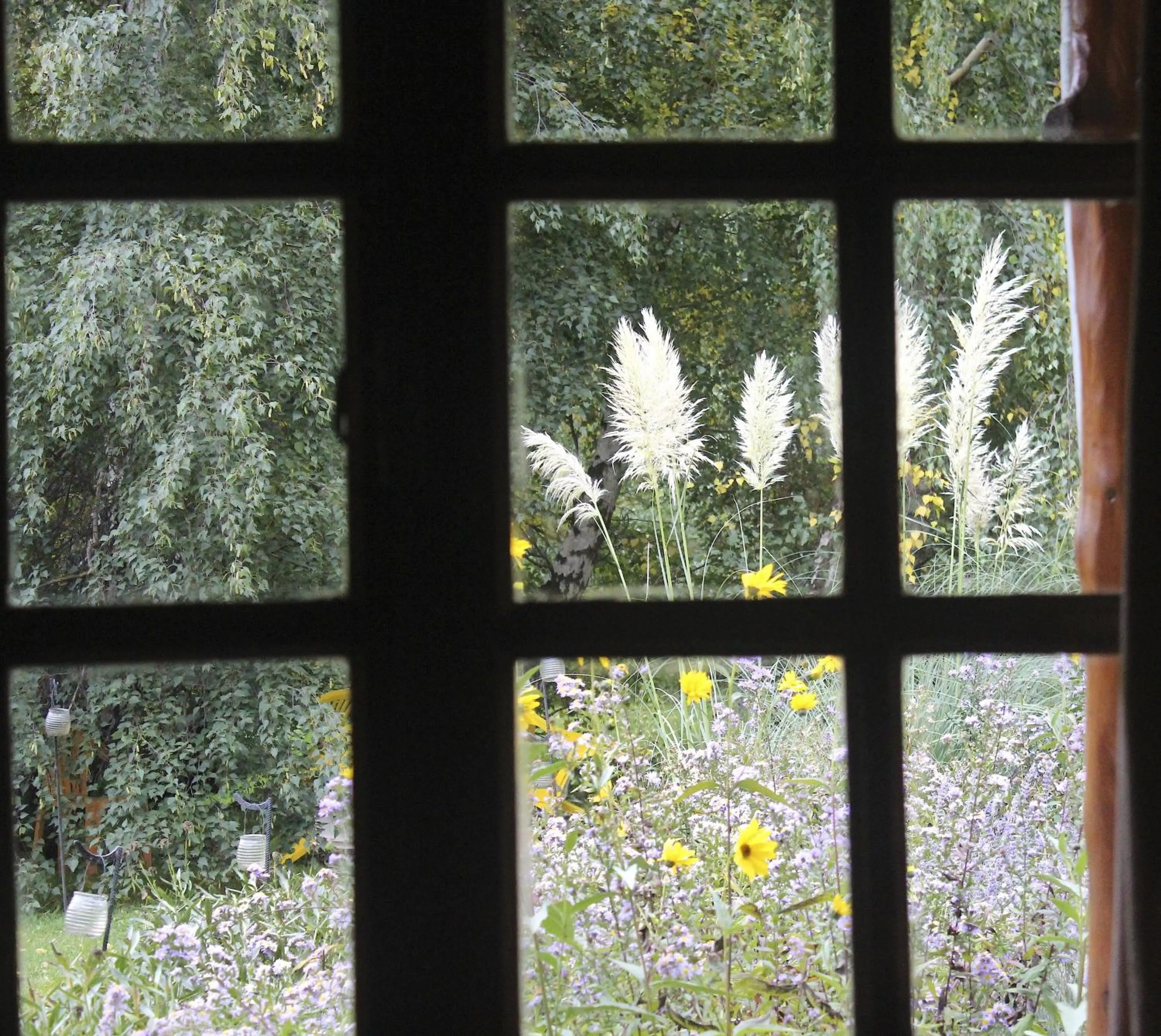 Spring in Las Vertientes Lodge