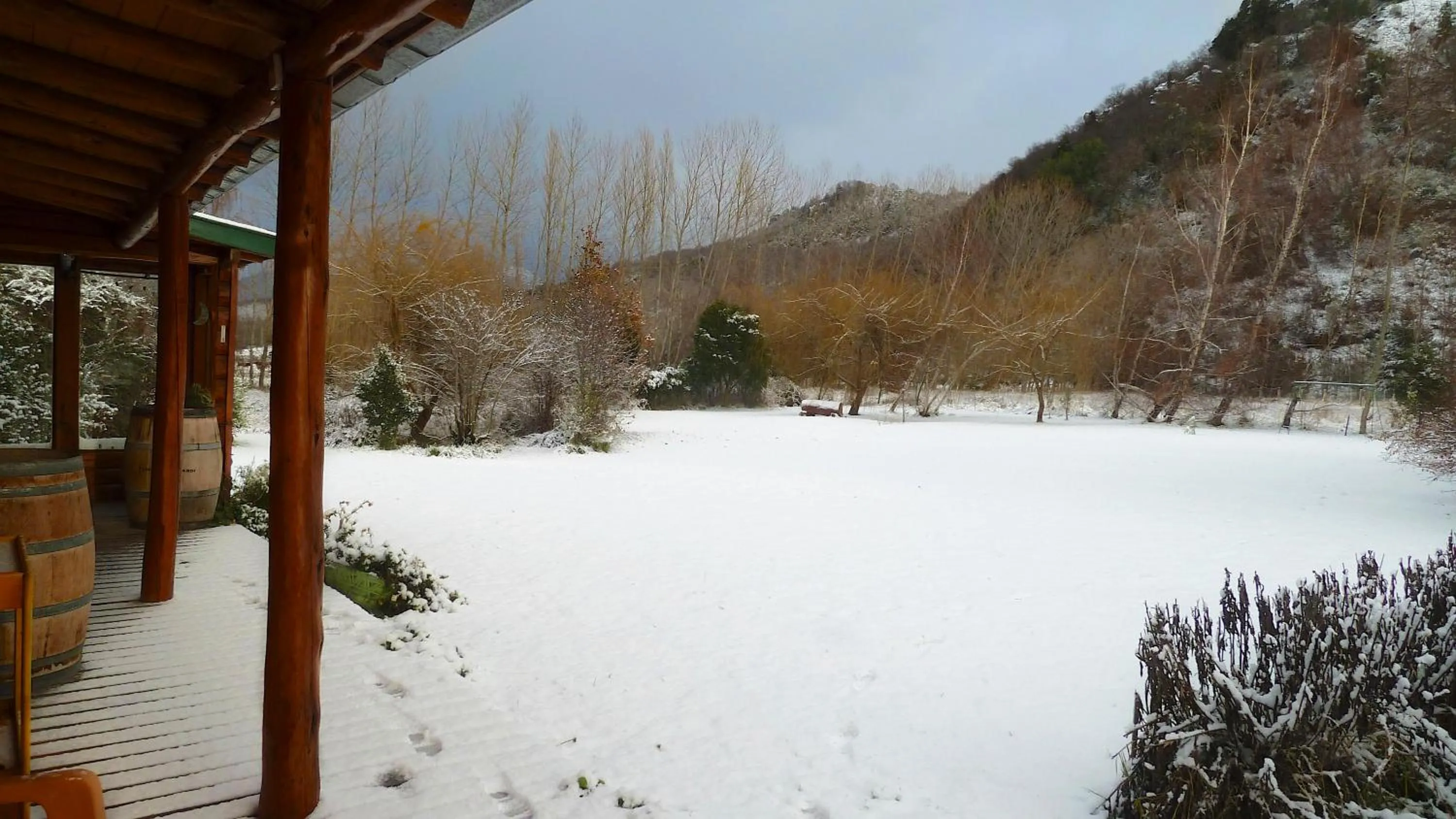 Garden in Las Vertientes Lodge
