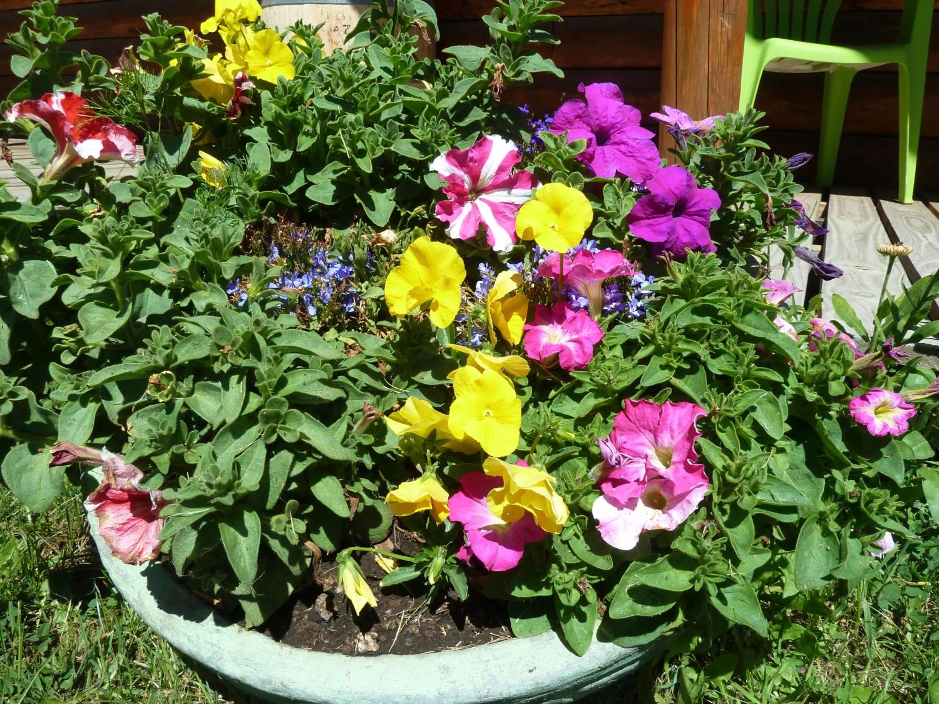 Garden in Las Vertientes Lodge