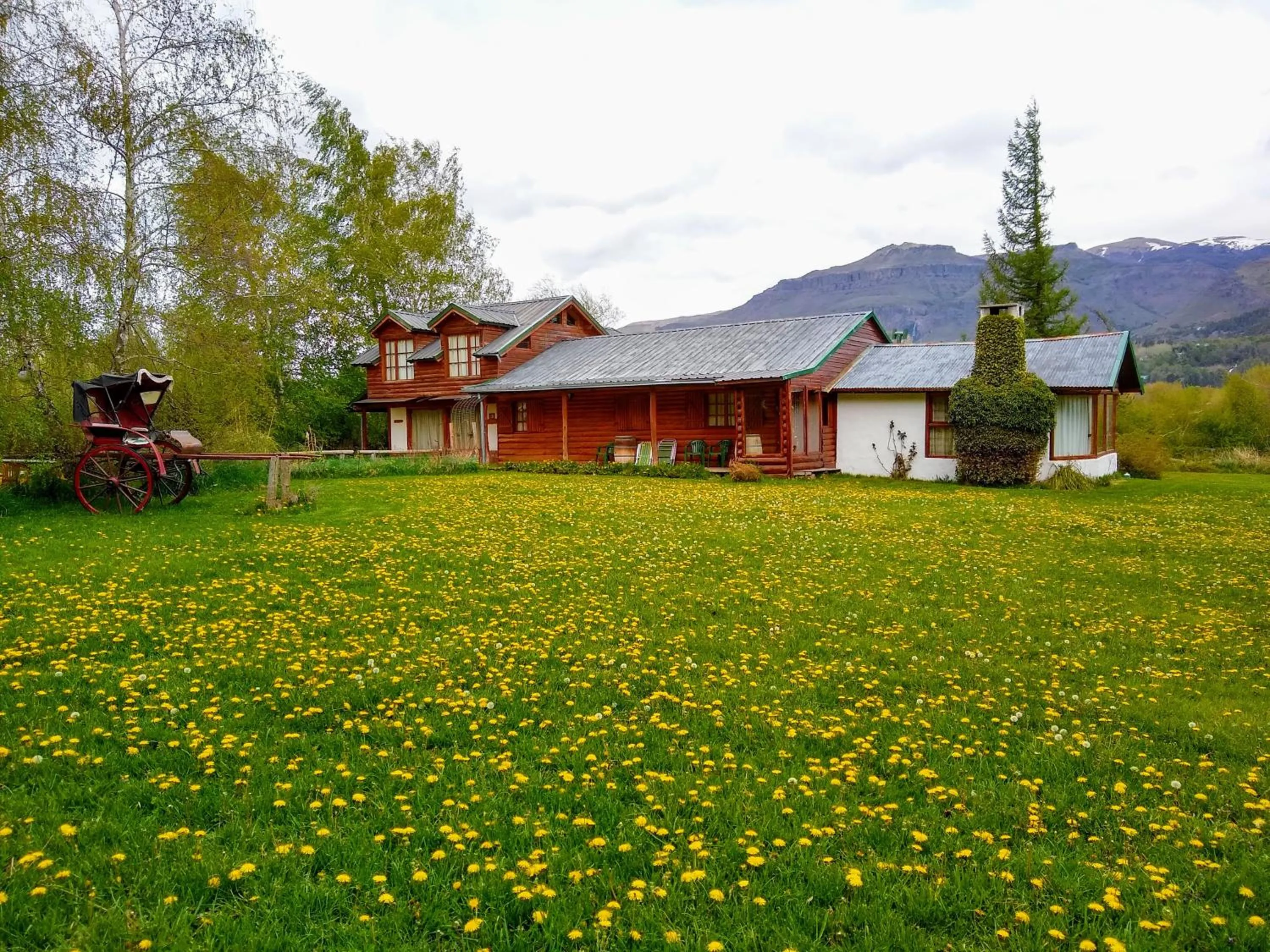 Garden in Las Vertientes Lodge