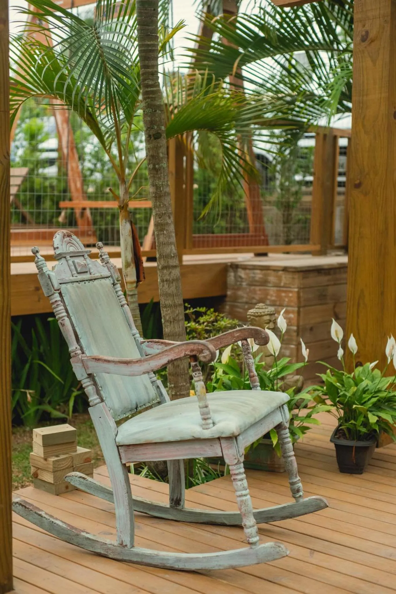 Garden in Pousada Cacau