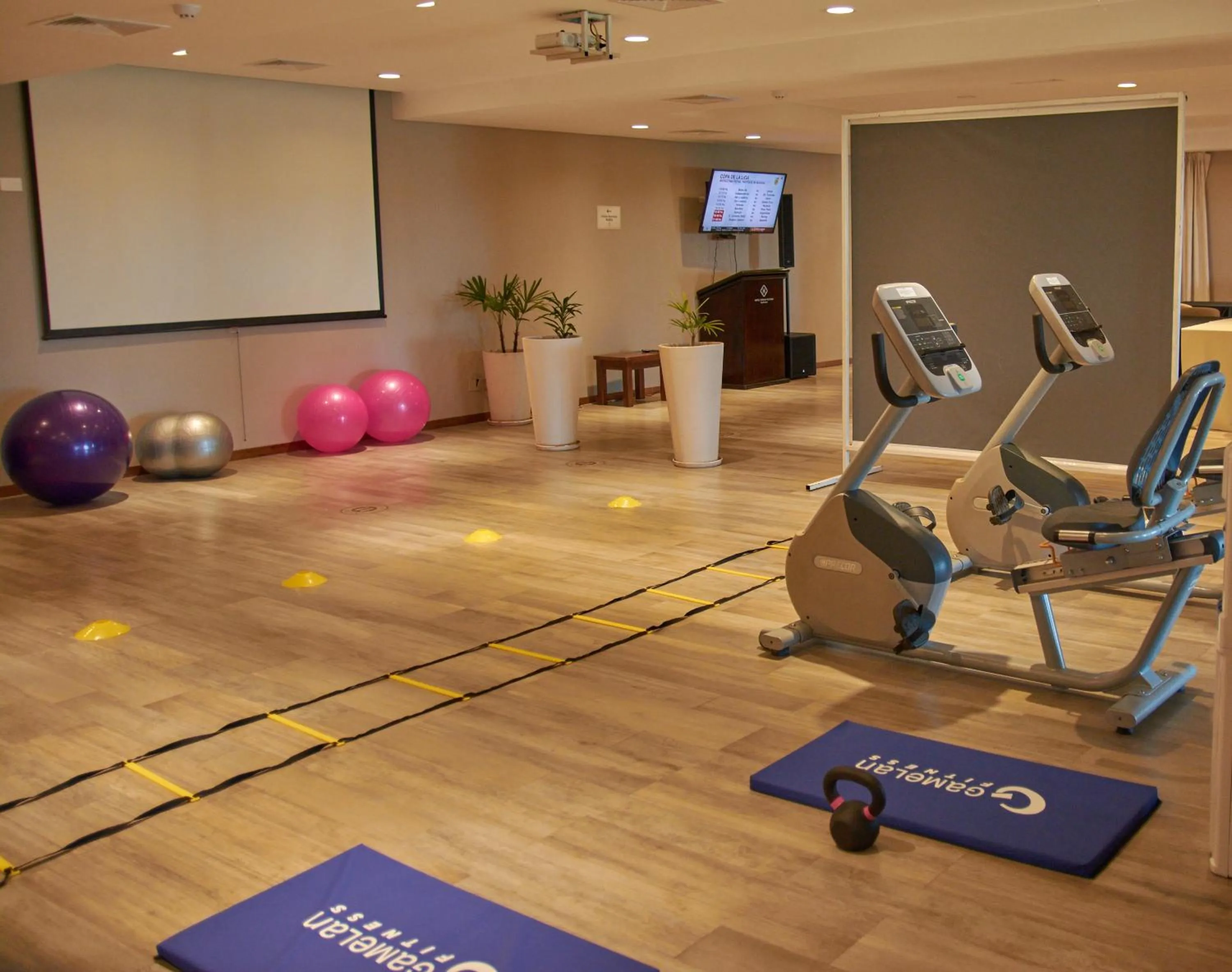 HOTEL TERMAS VICTORIA Wellness Spa