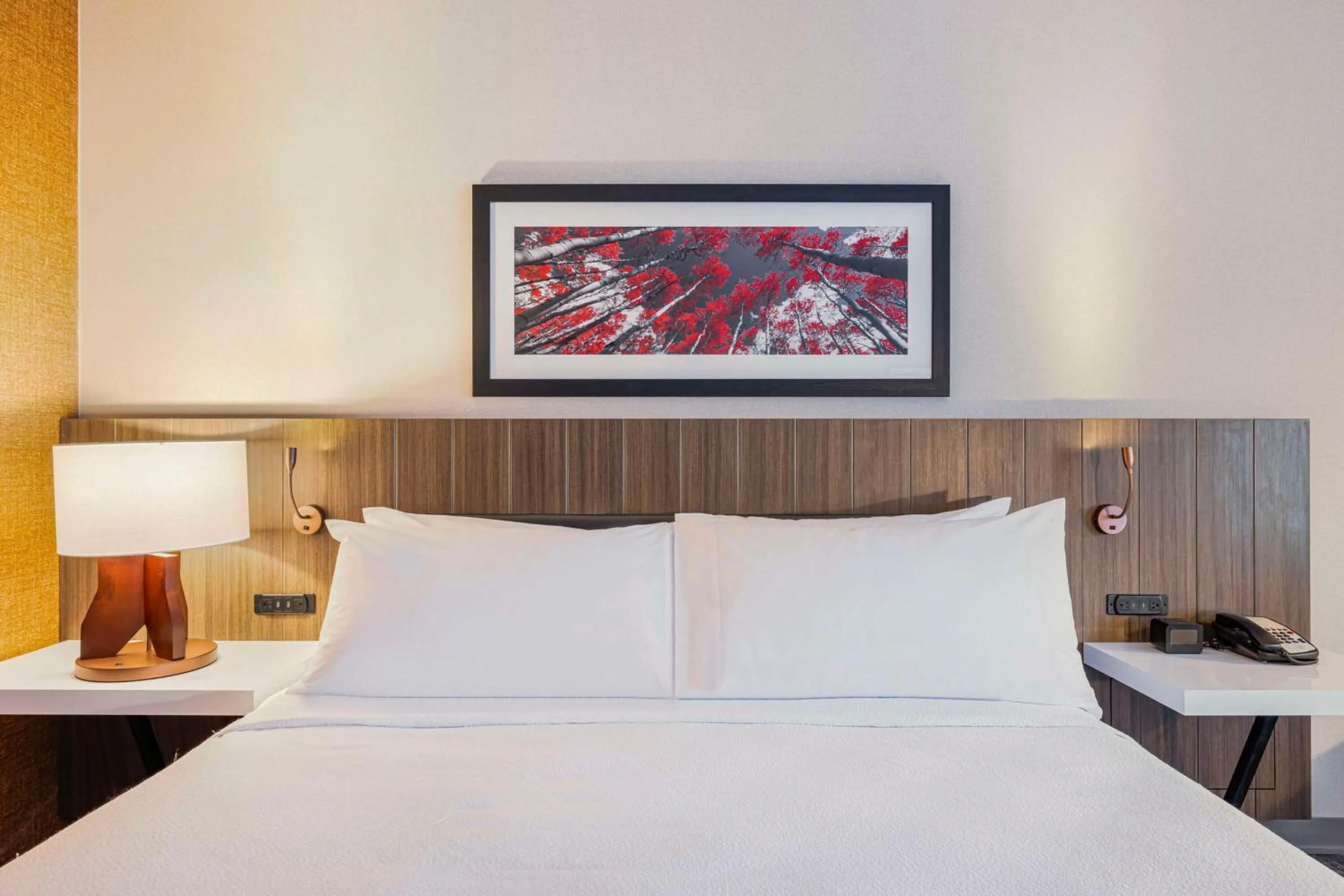 Bed in Hilton Garden Inn Colorado Springs Airport