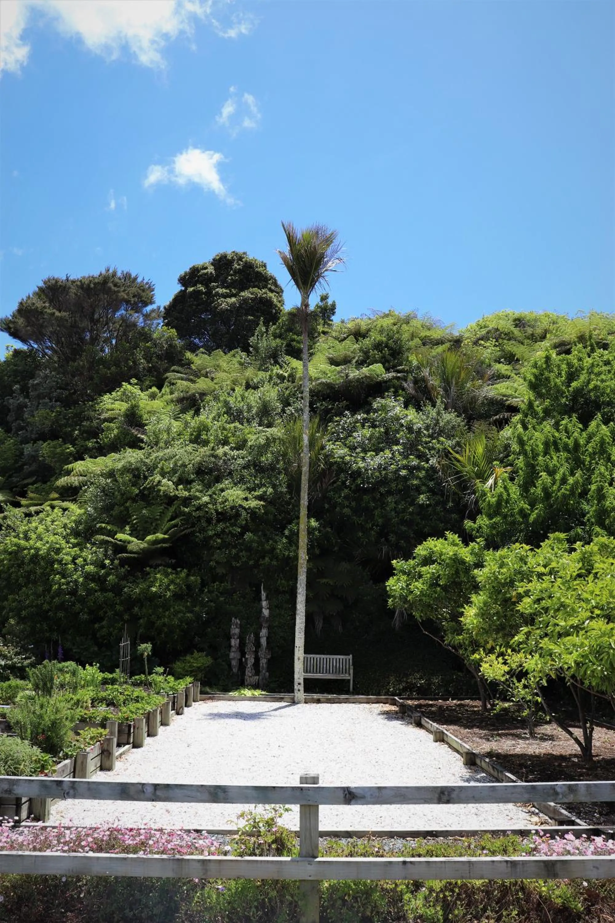 Garden in The Old Oak Boutique Hotel