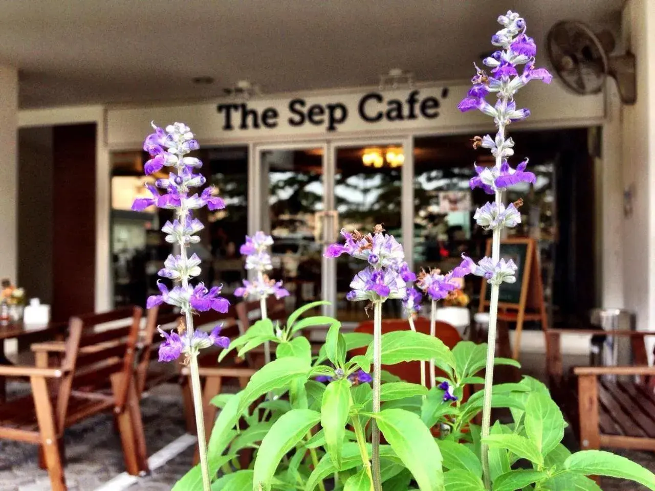 Restaurant/places to eat in The September Salaya Restaurant/places to eat in The September Salaya