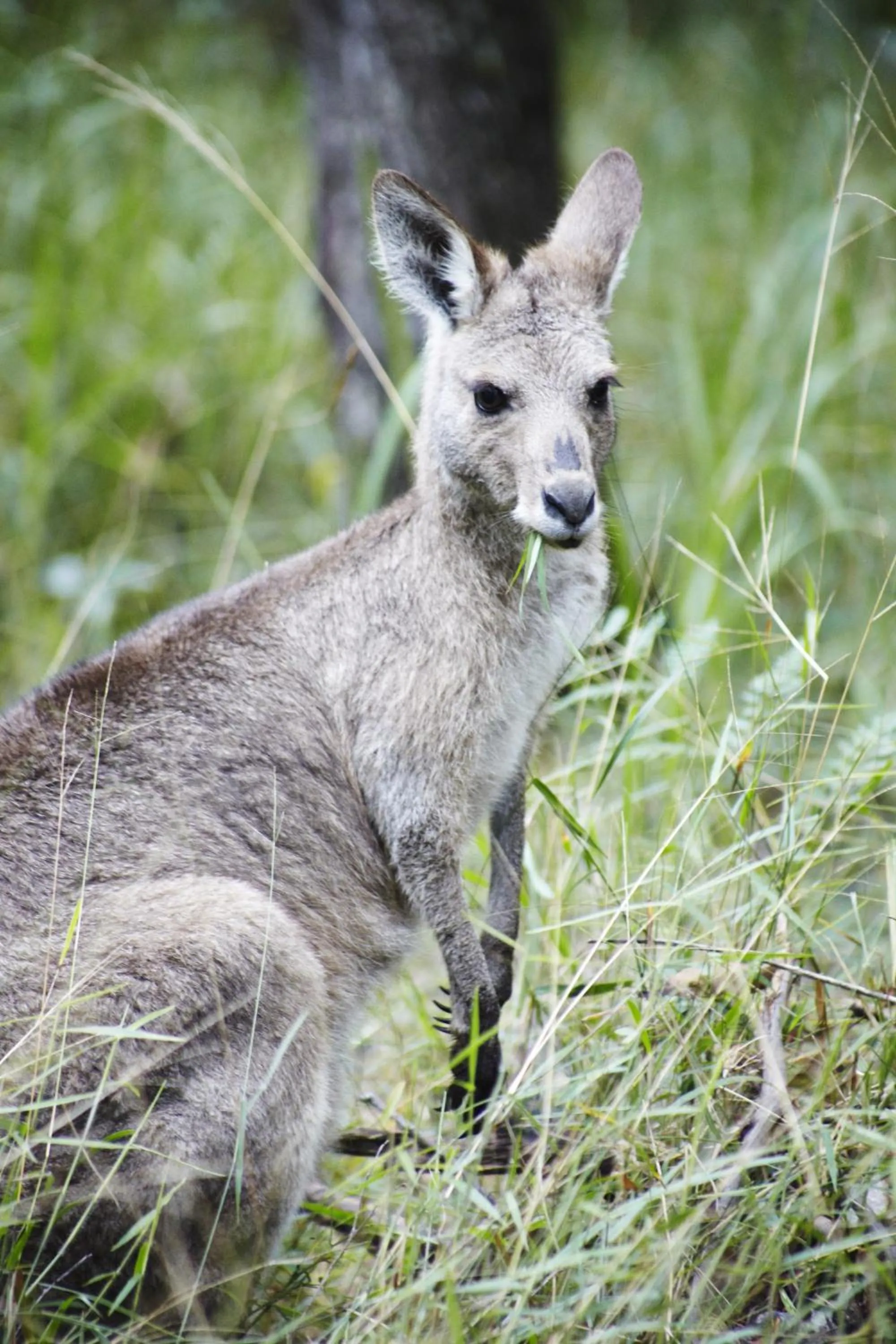 Other in Alaya Verde Bed & Breakfast