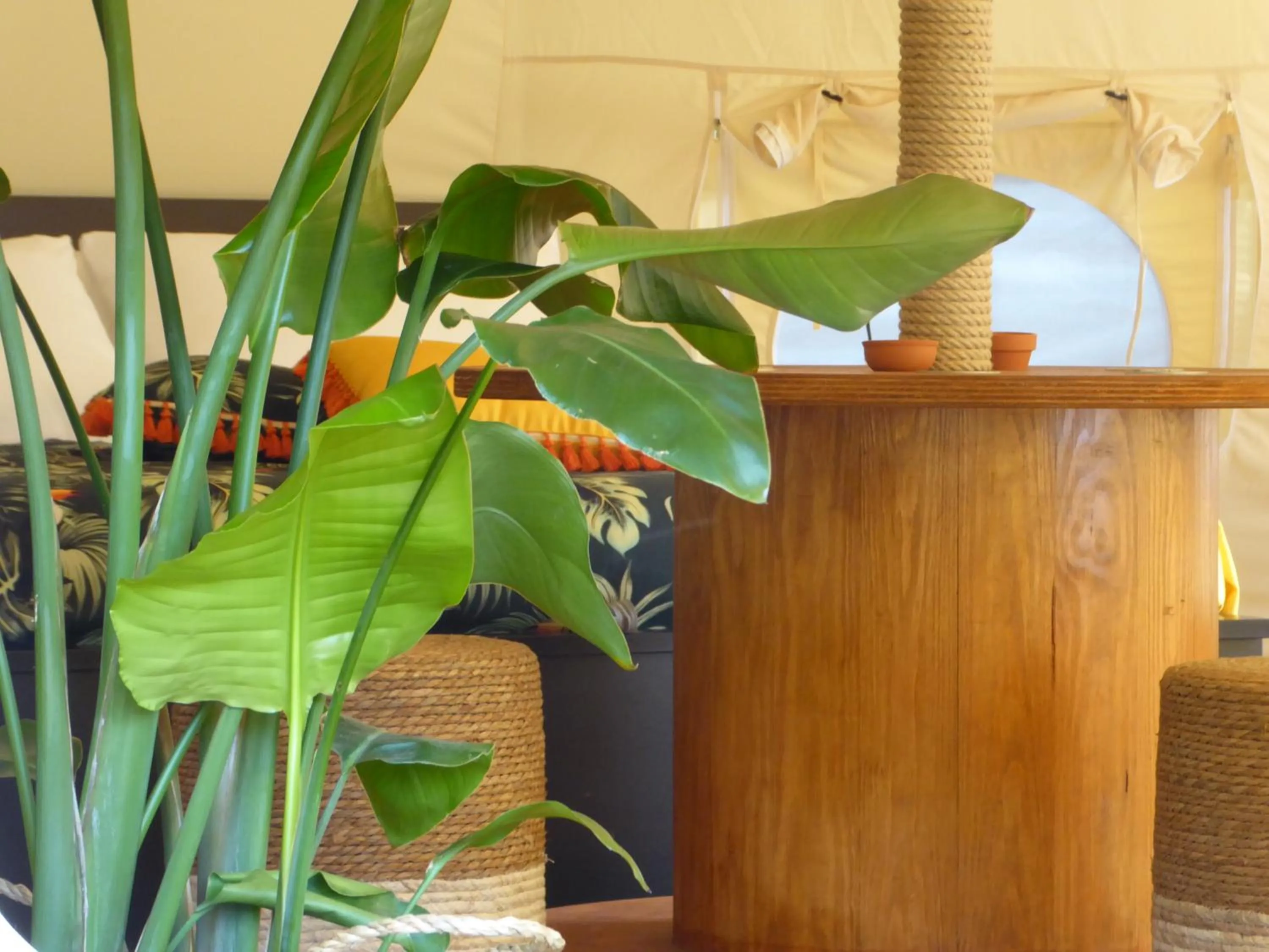 Bedroom in Oasi Degli Dei