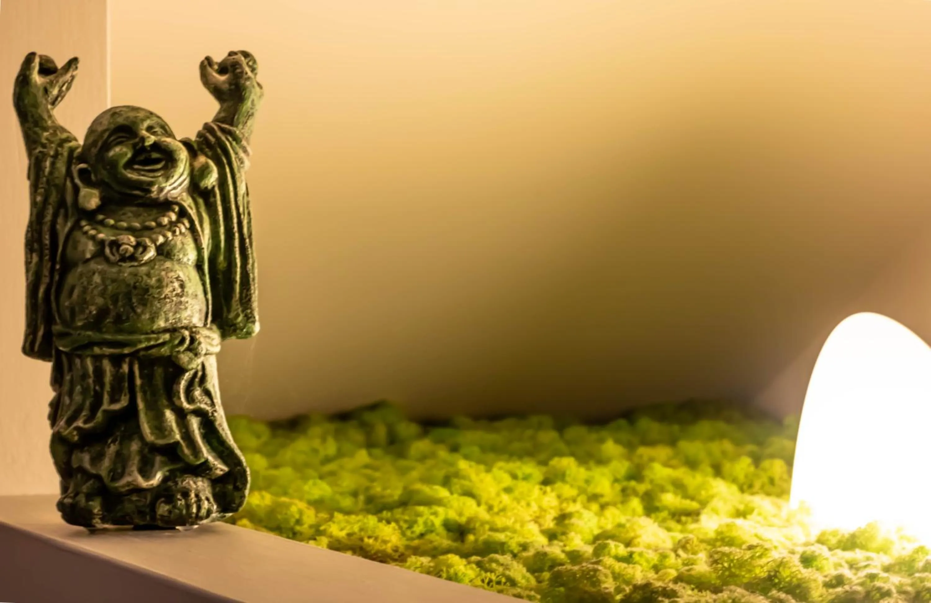 Lobby or reception in Oasi Degli Dei