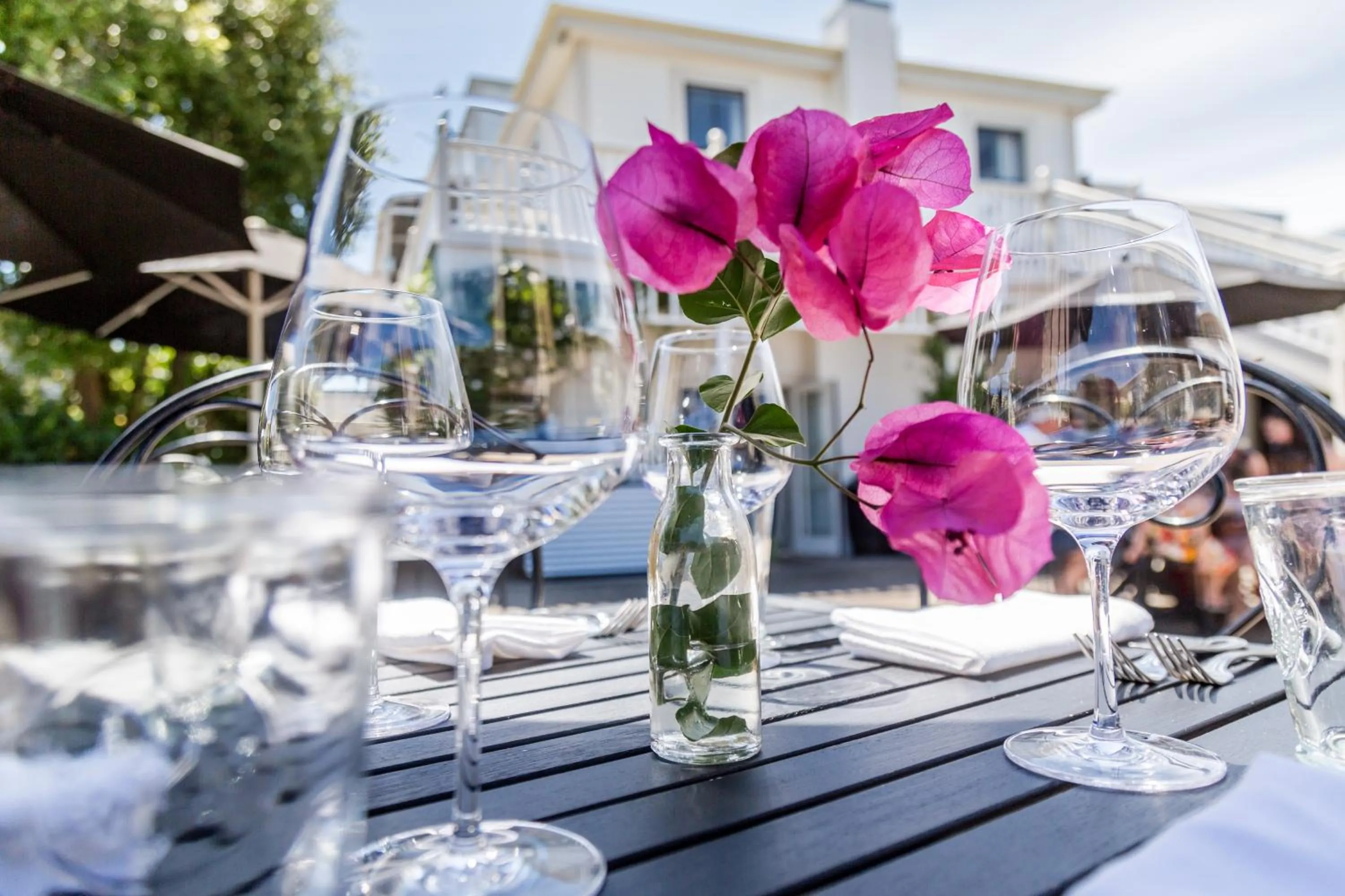 Garden in The Martinborough Hotel