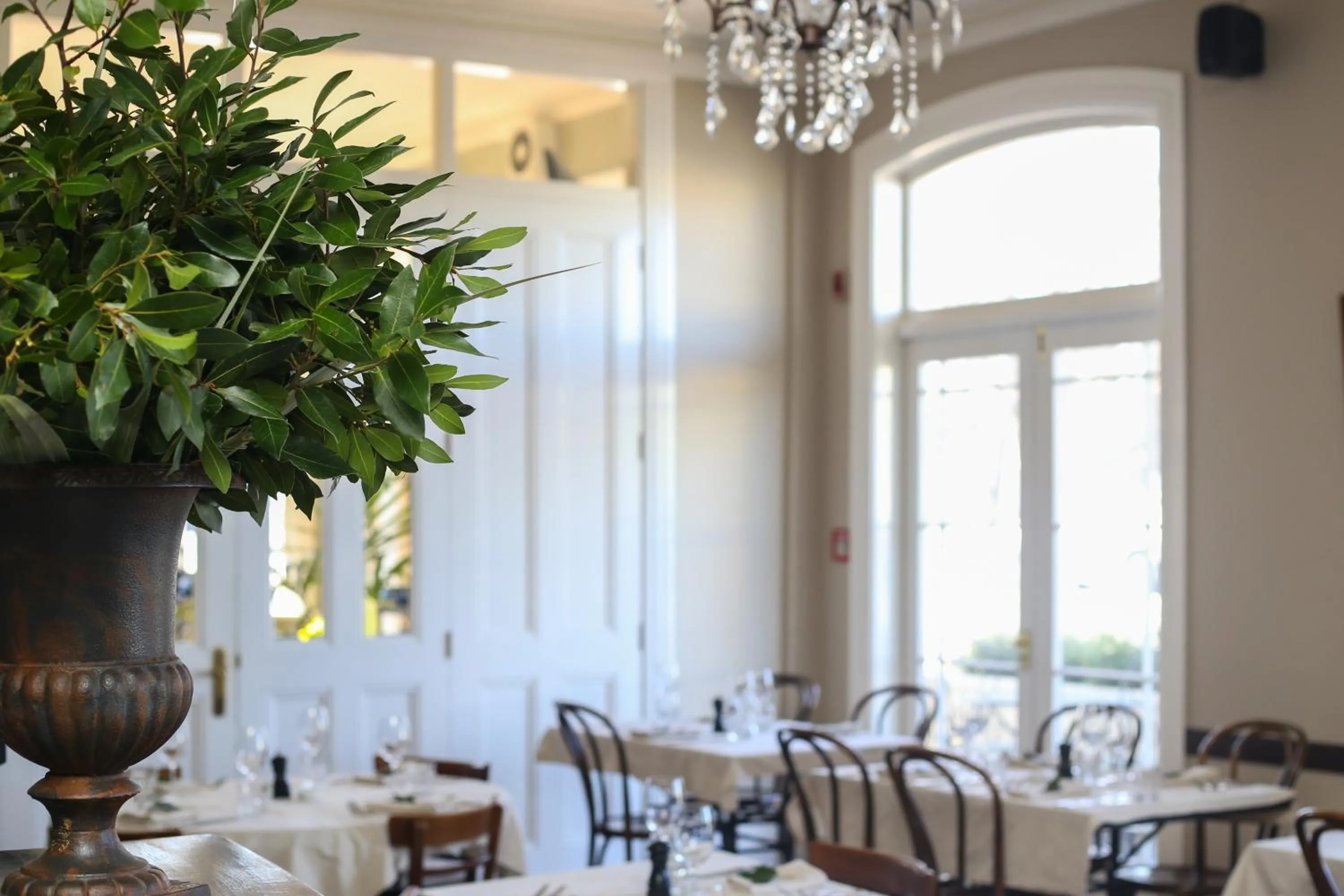 Restaurant/places to eat in The Martinborough Hotel