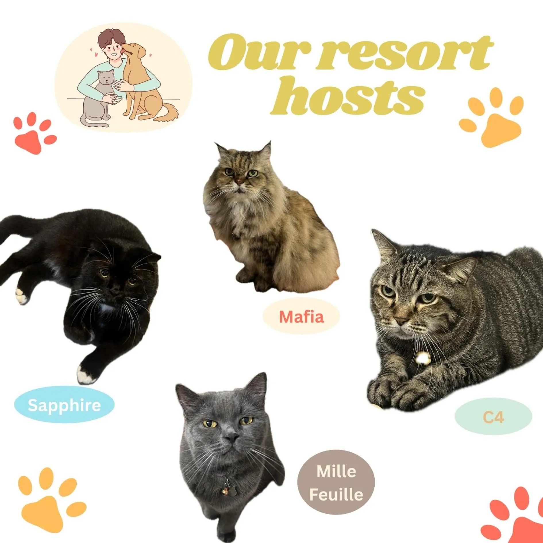 Pets in Pen's Bungalow Koh Phangan