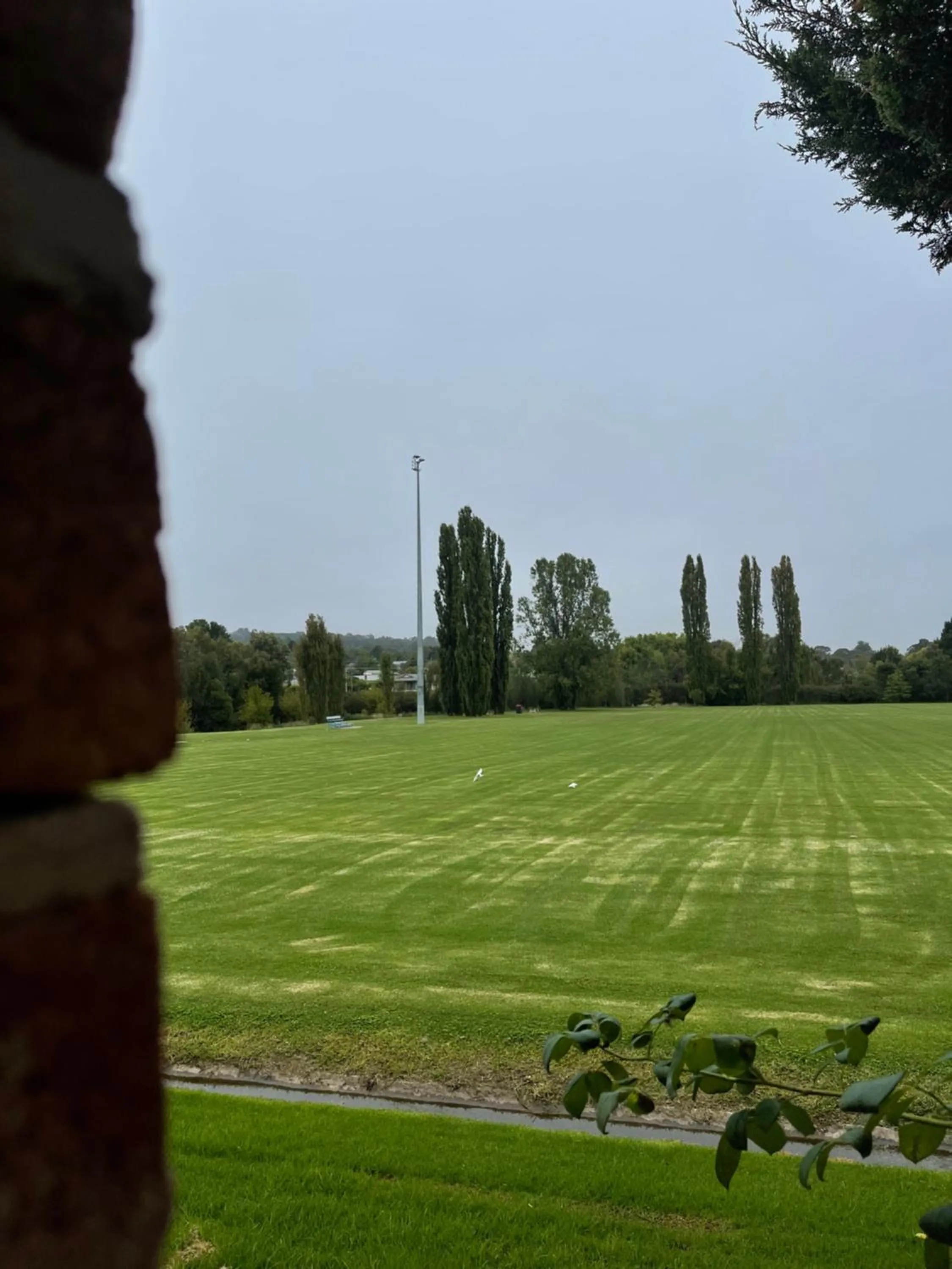 Garden in Sandstock Motor Inn Armidale