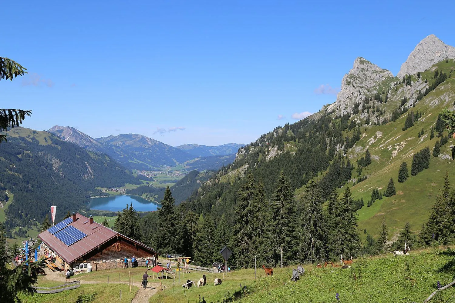 Natural landscape in Pension Kreuzeck - Dein Glücksplatz am Lech