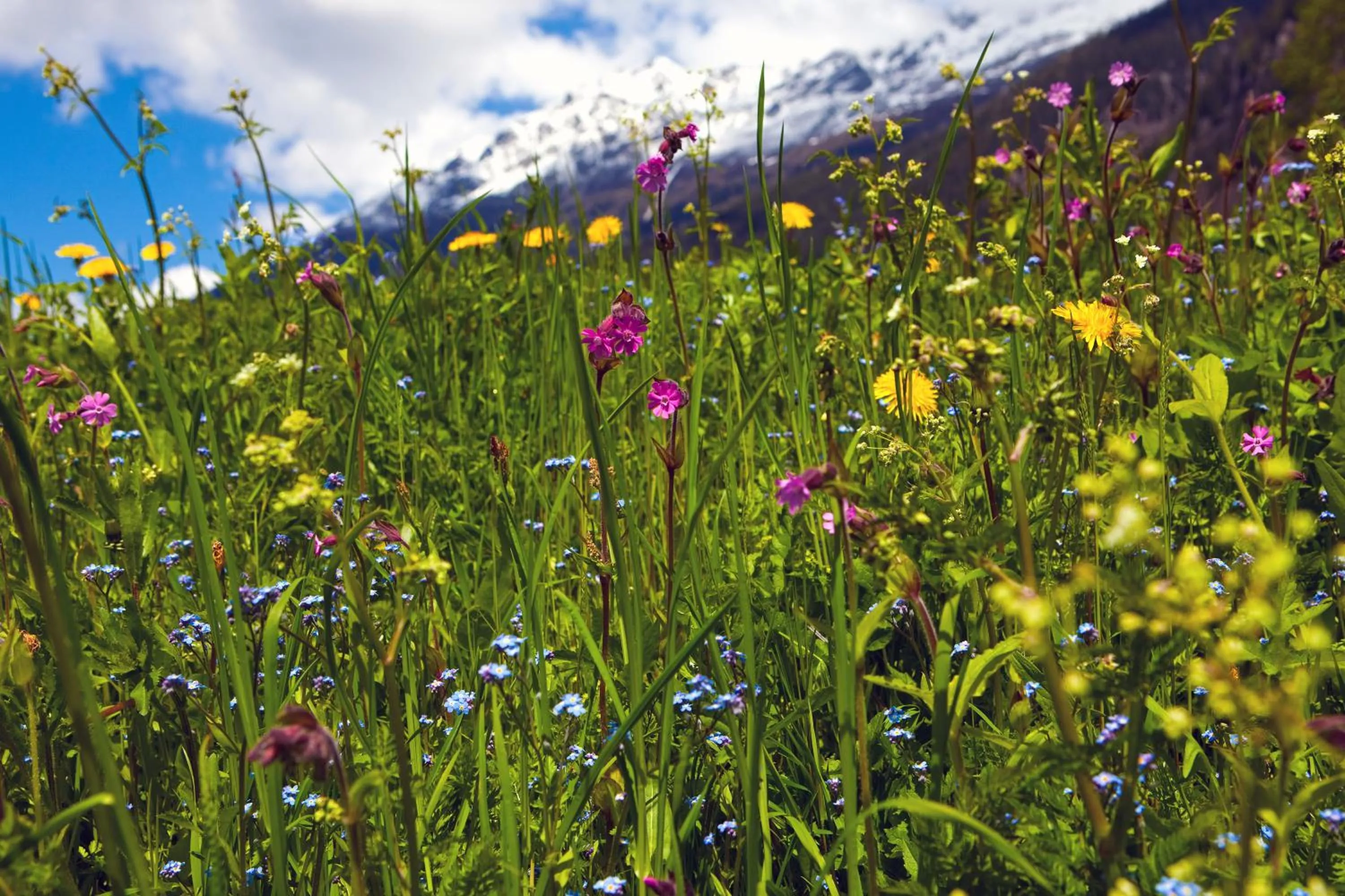 Day in Hotel Truyenhof