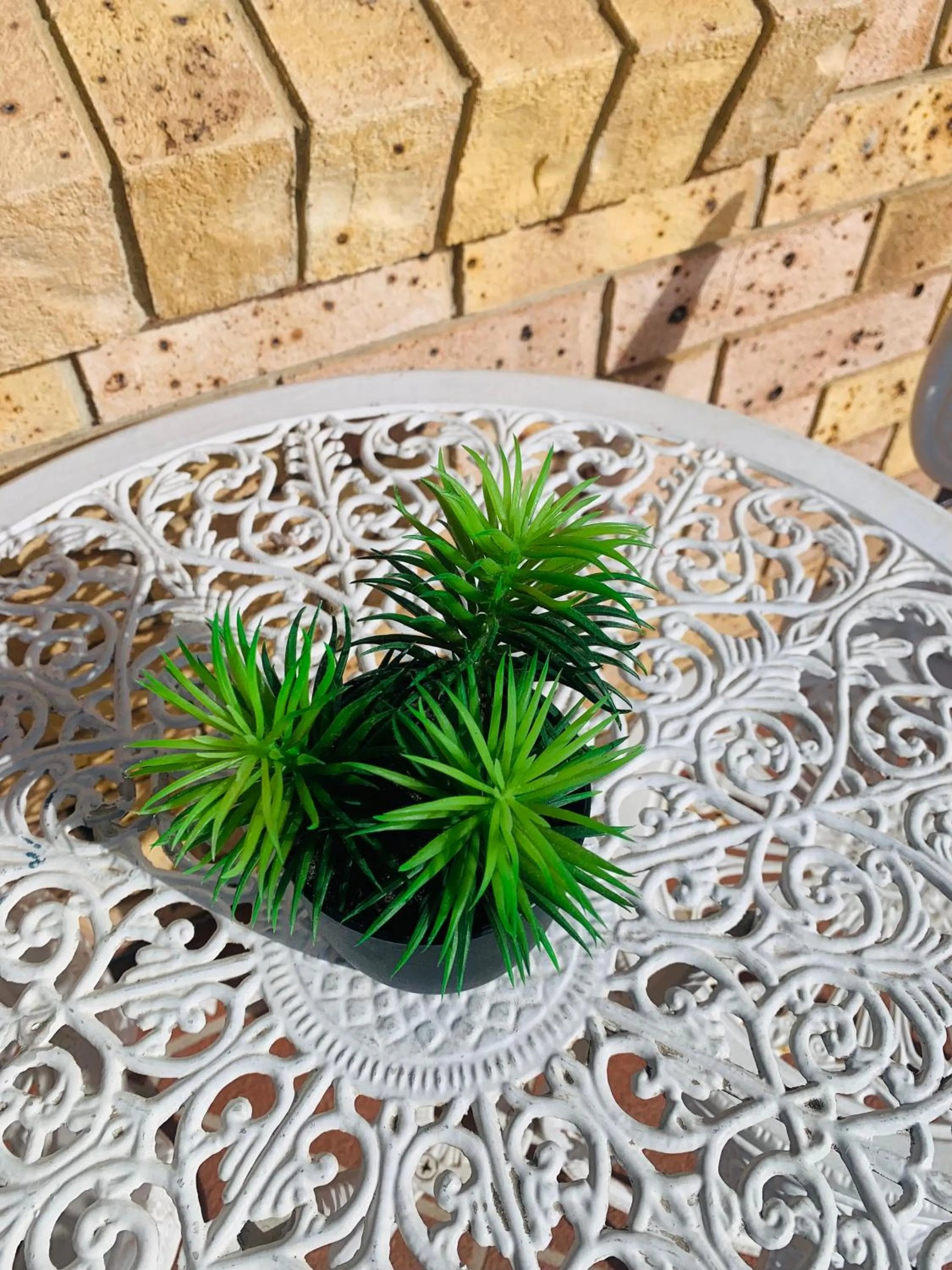 Dining area in Town and Country Motor Inn