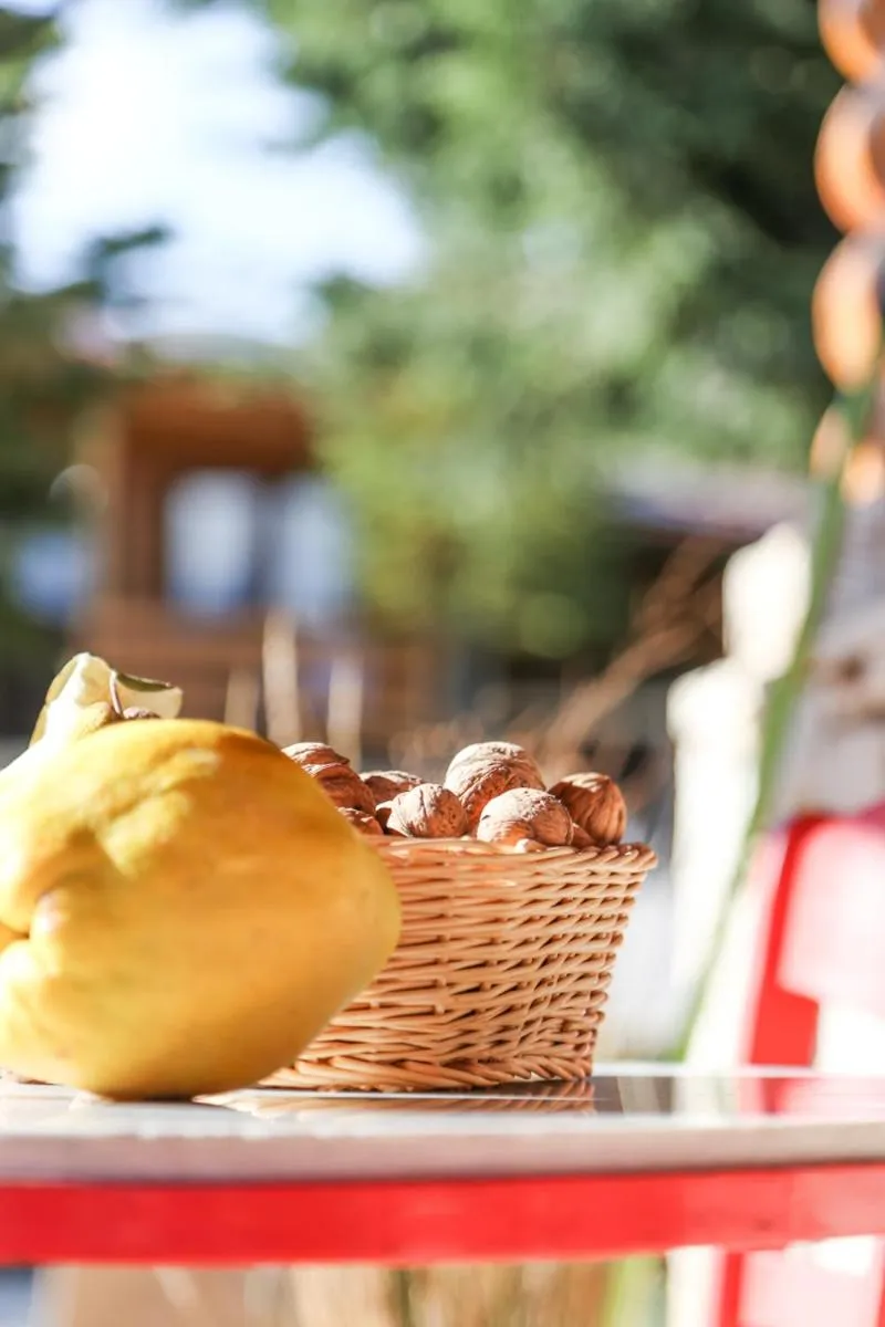 Garden in Orias Guesthouse & Farm