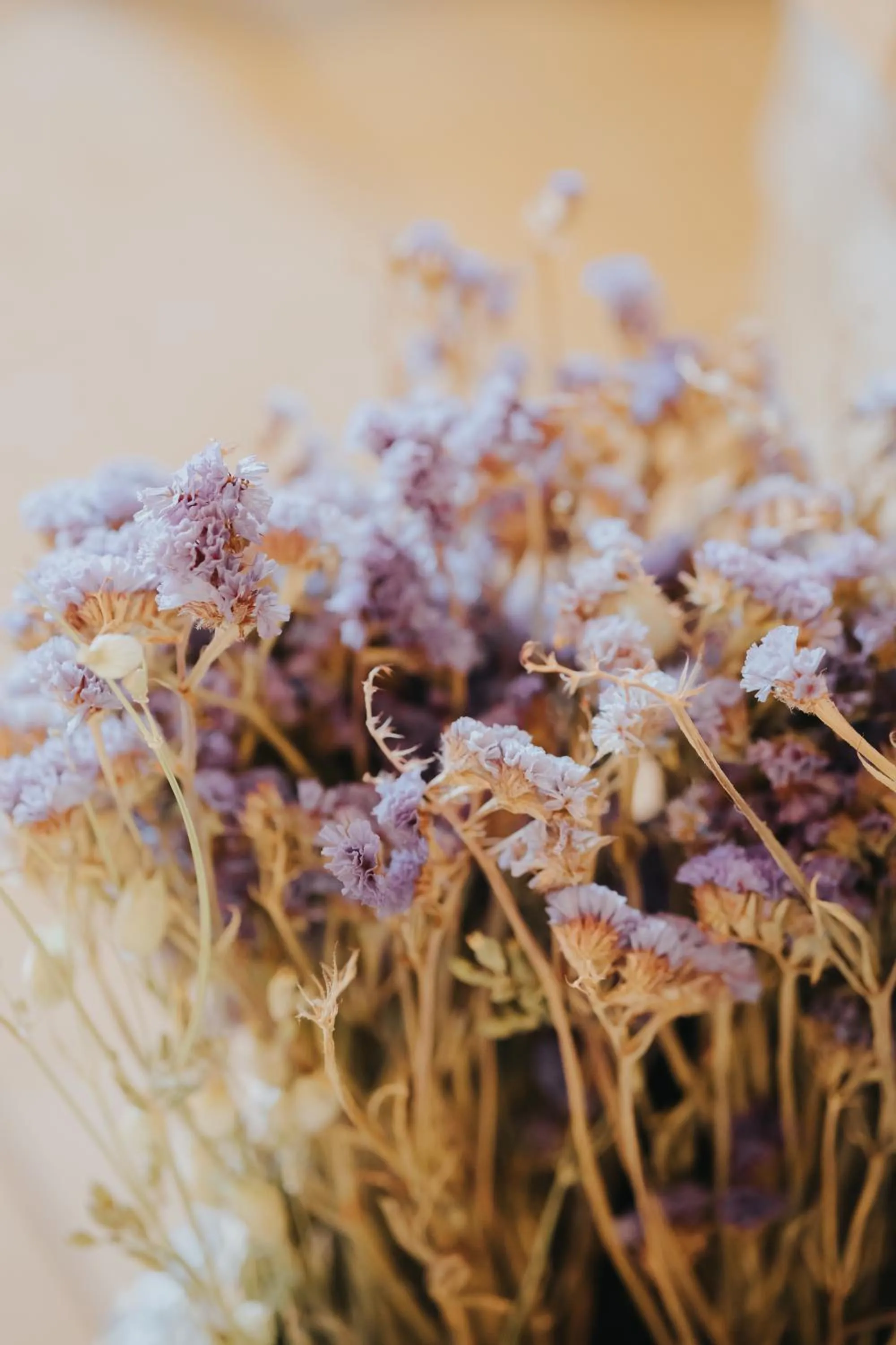 Orias Guesthouse & Farm