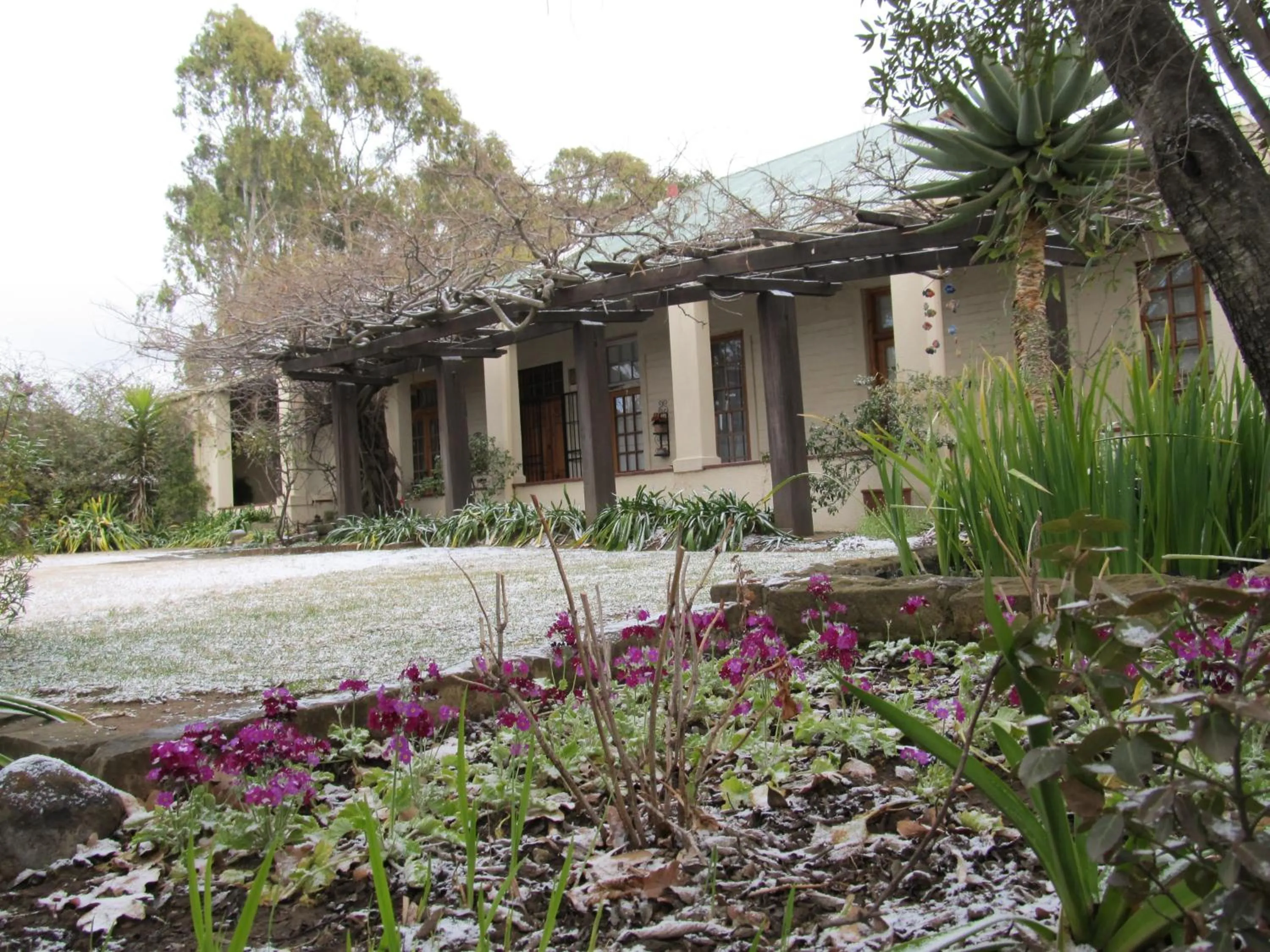 Winter in Top House Bed and Breakfast