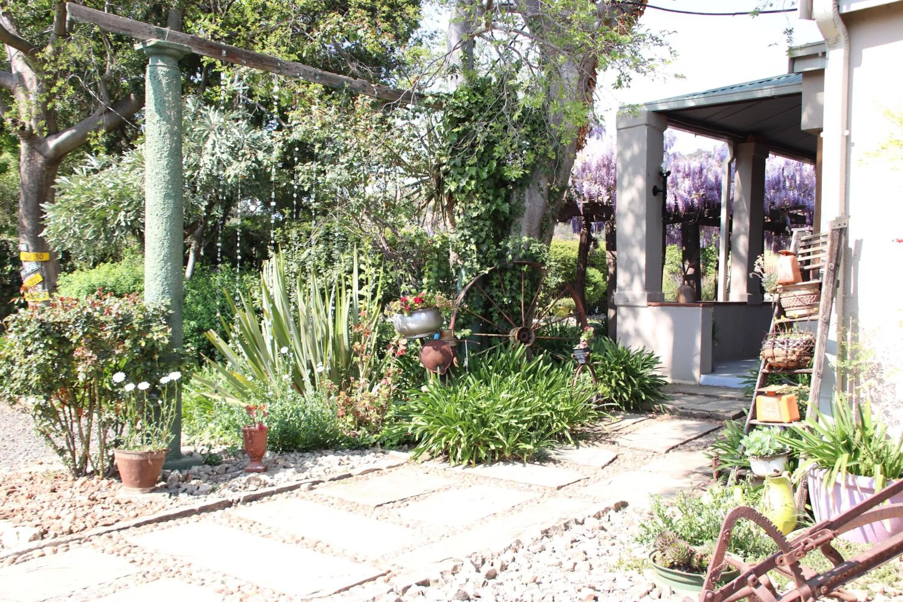 Top House Bed and Breakfast