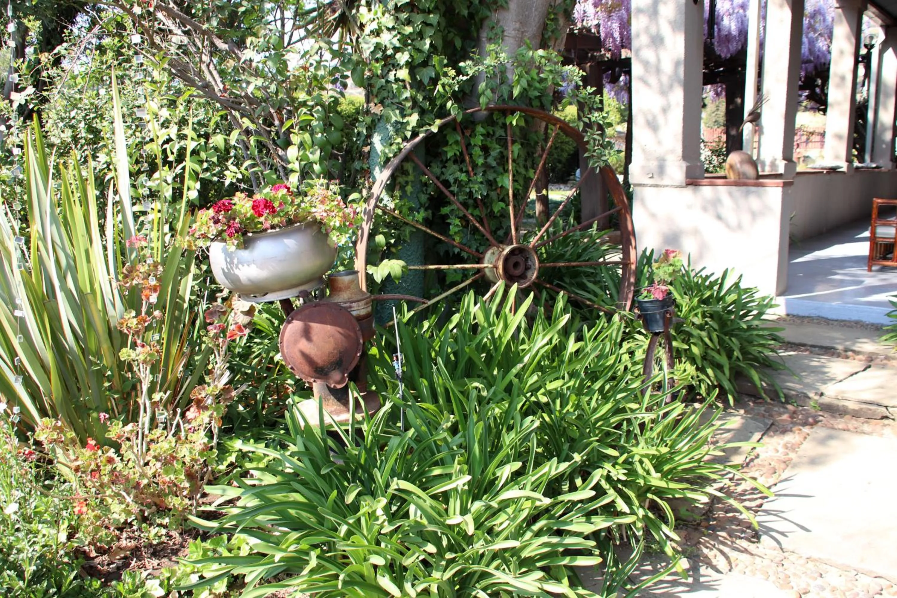 Top House Bed and Breakfast