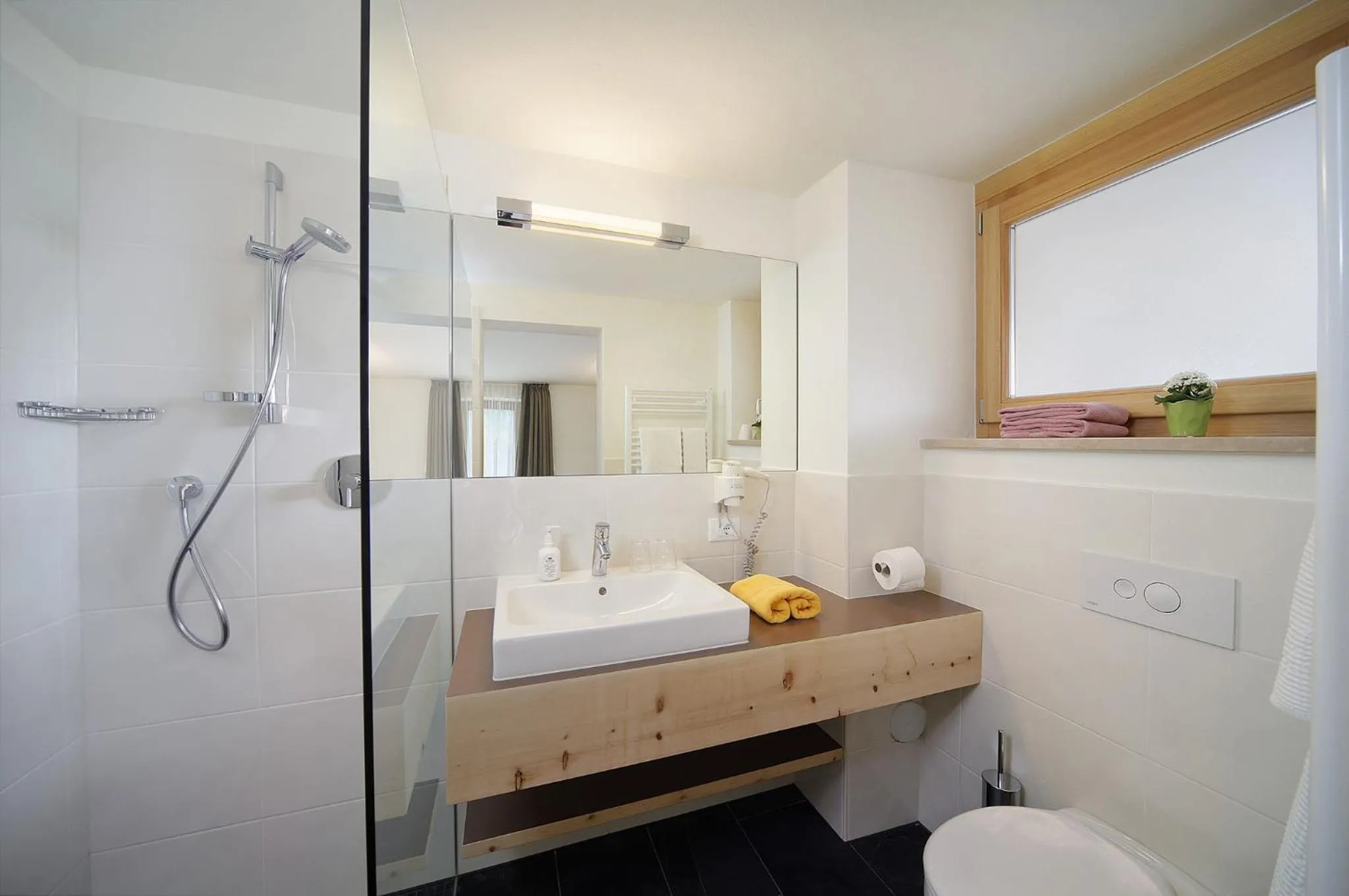 Toilet in Vitalhotel Rainer