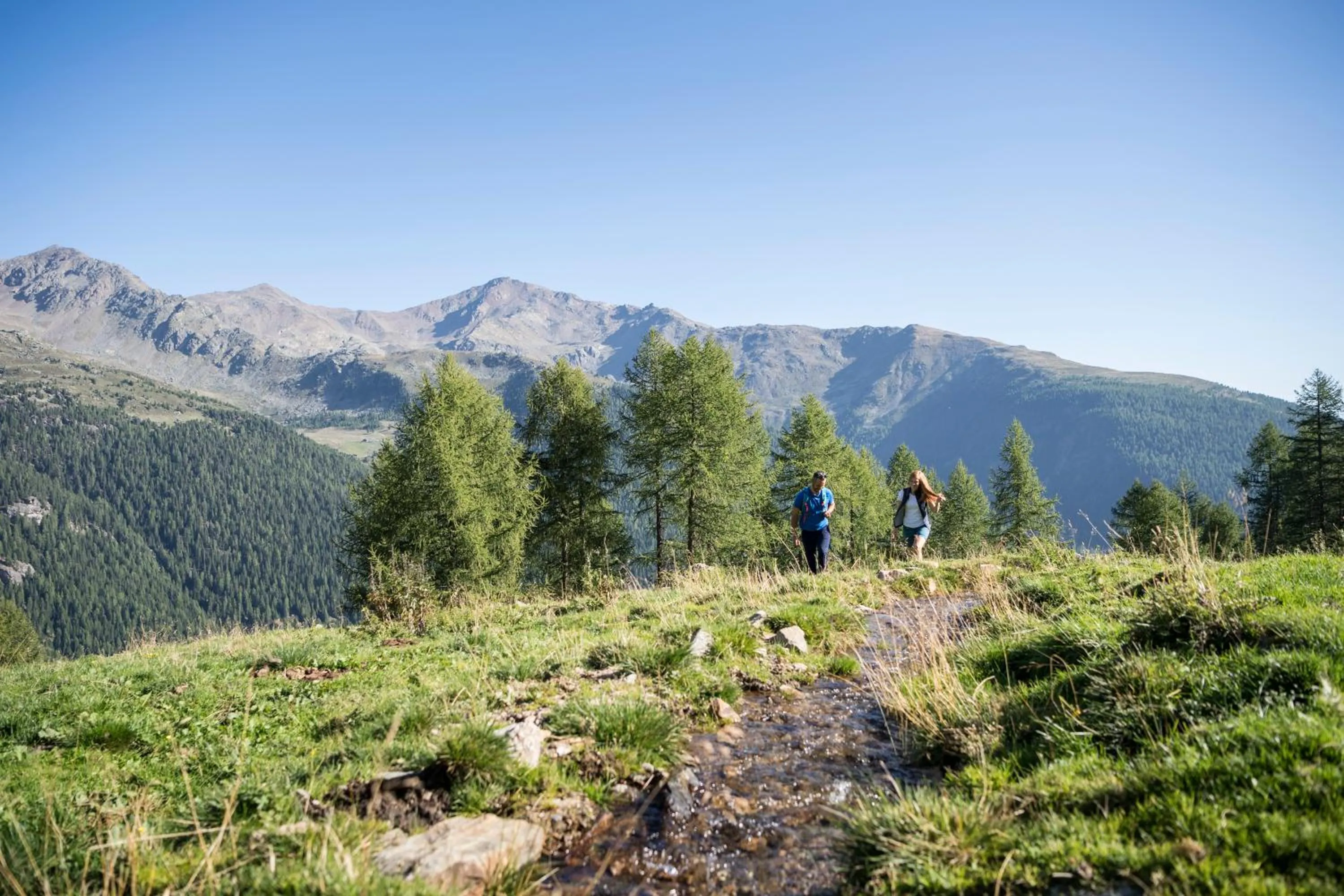 Natural landscape in Vitalhotel Rainer