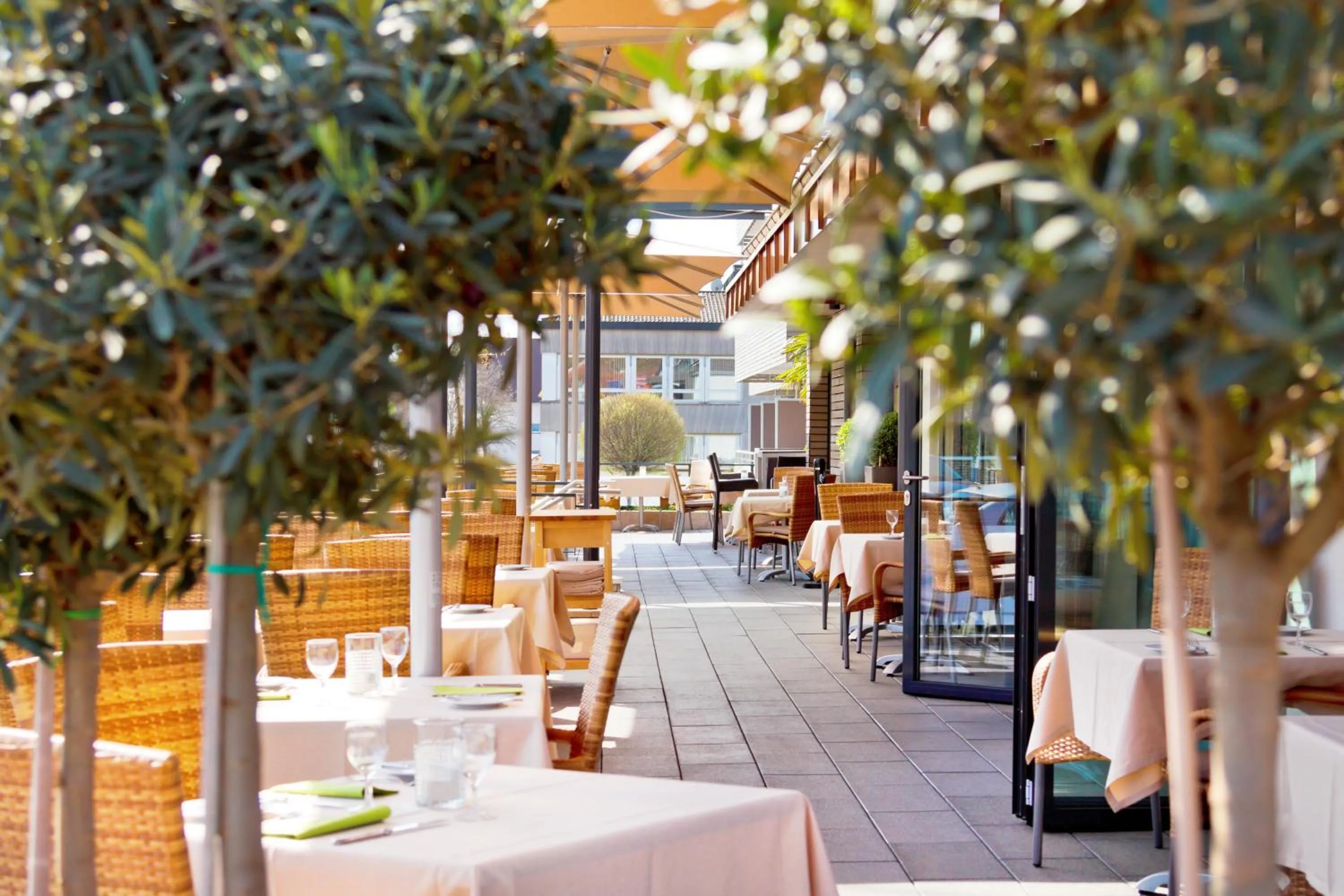 Balcony/Terrace in Hotel Winzerstube
