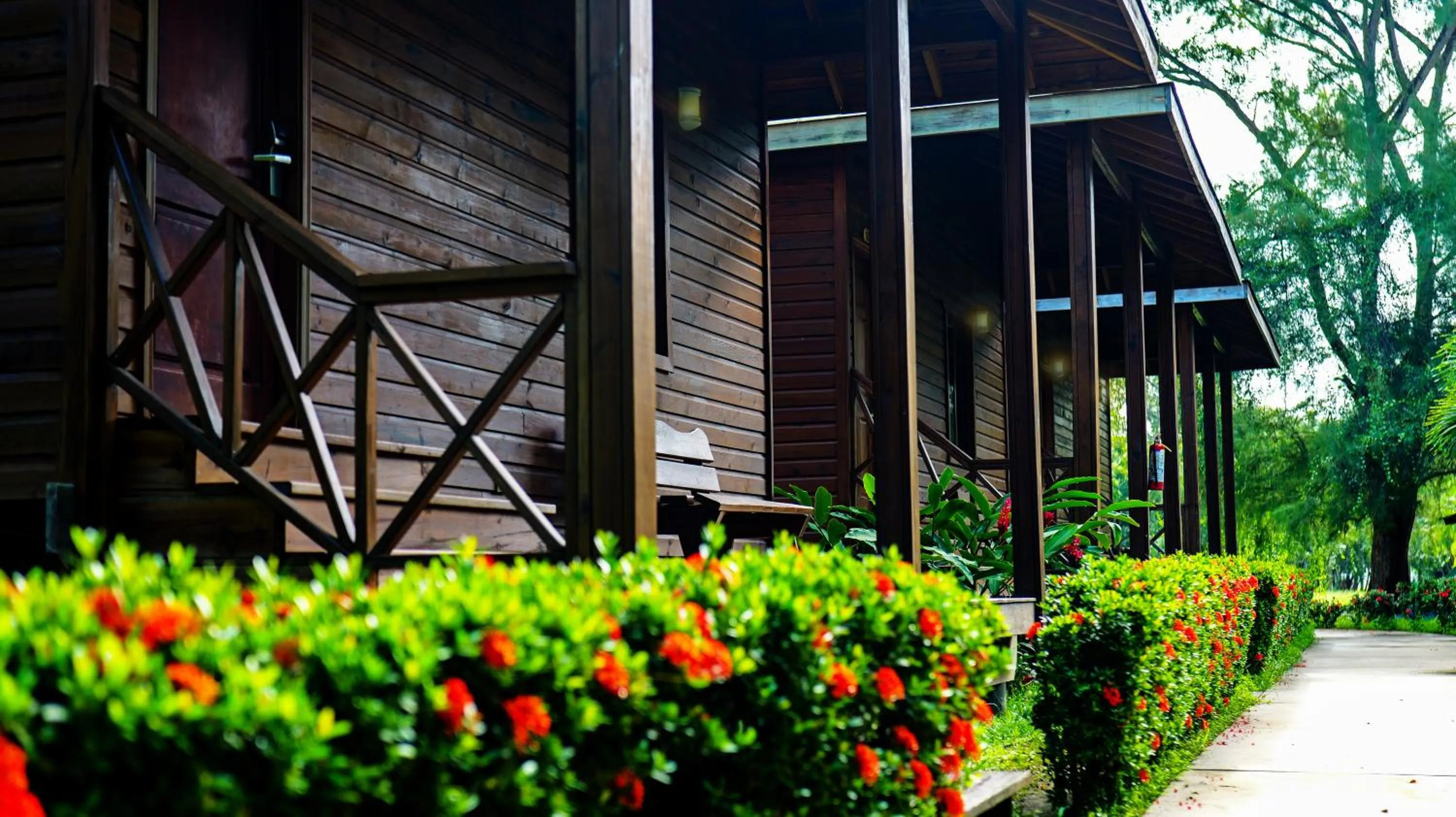 Garden view in La Ensenada Beach Resort