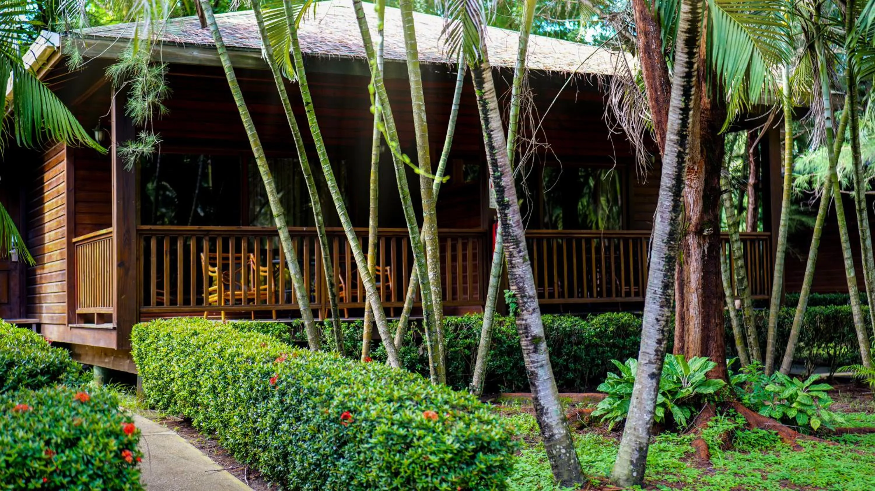 Garden view in La Ensenada Beach Resort
