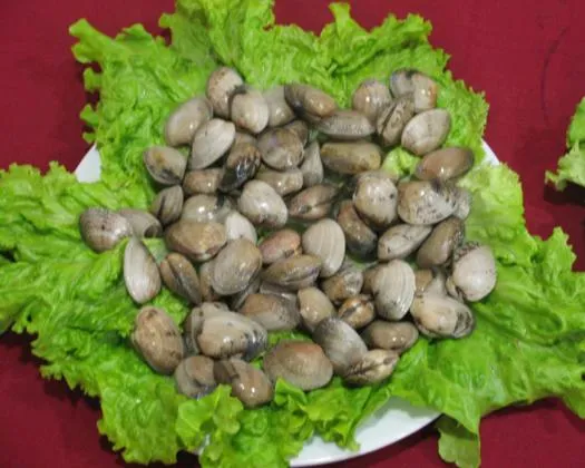 Other in Hotel Restaurante Los Tulipanes