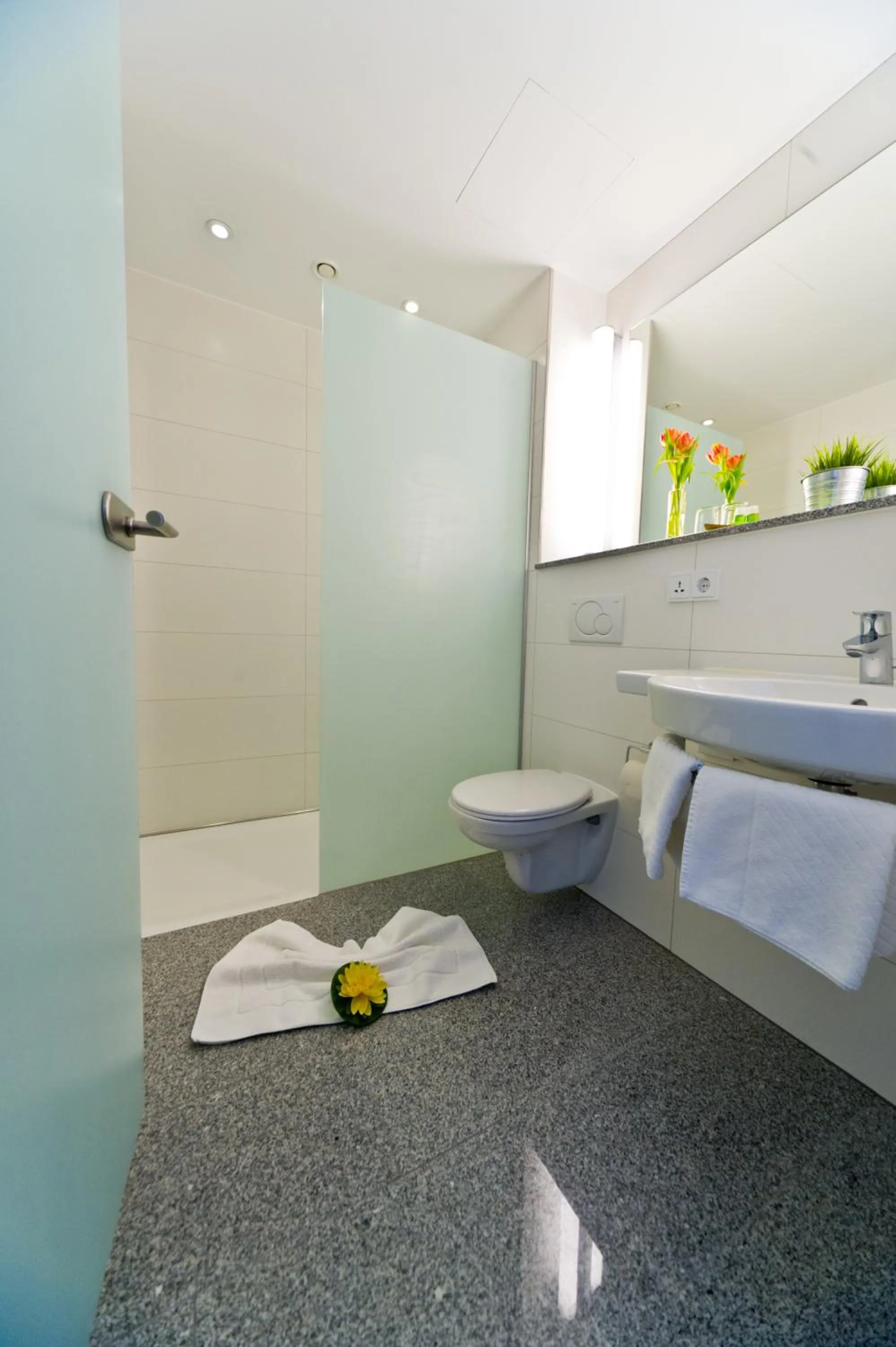 Bathroom in Wohlfühl-Hotel Neu Heidelberg