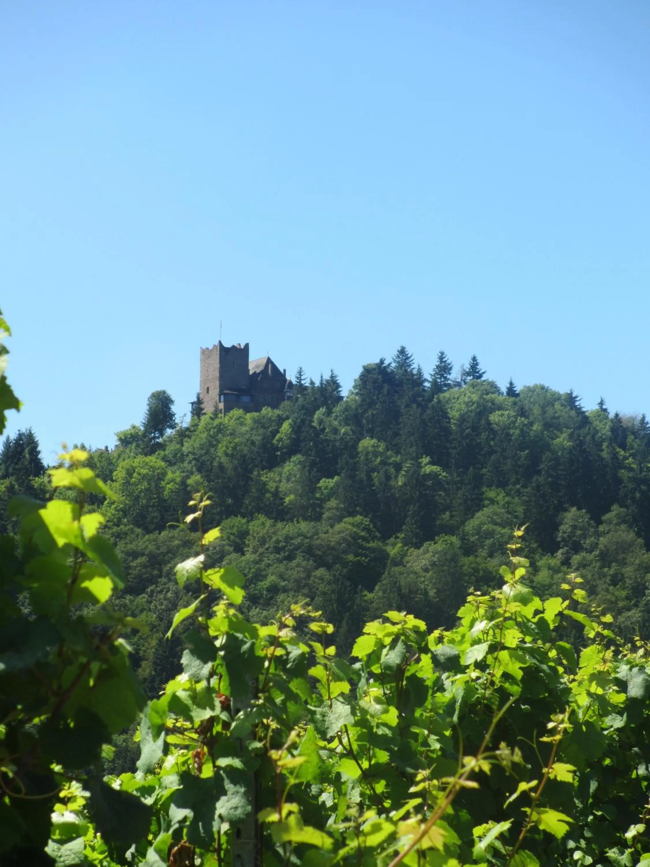Area and facilities in Feriendomizil am Lindenplatz