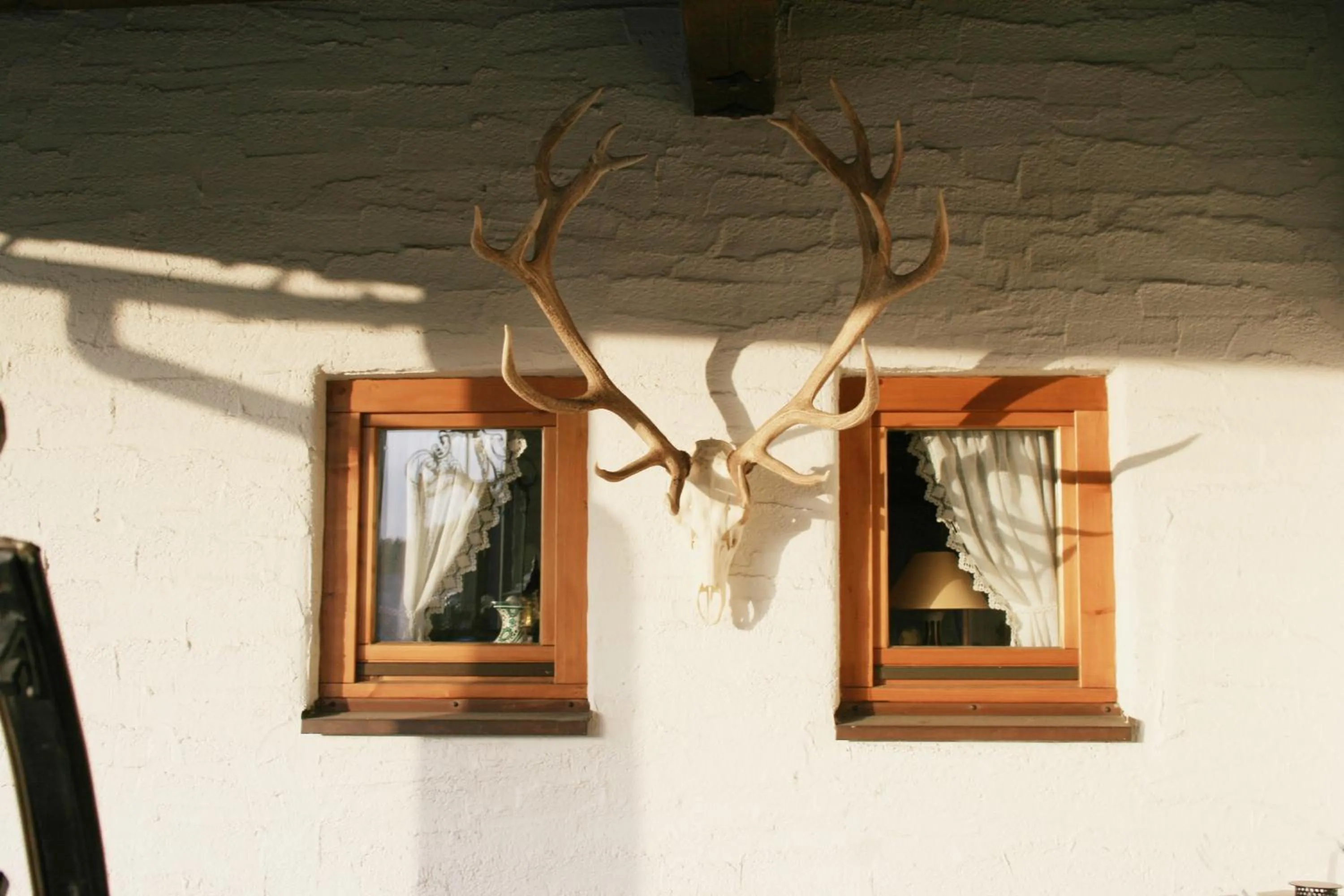 Facade/entrance in Hotel Alpensonne