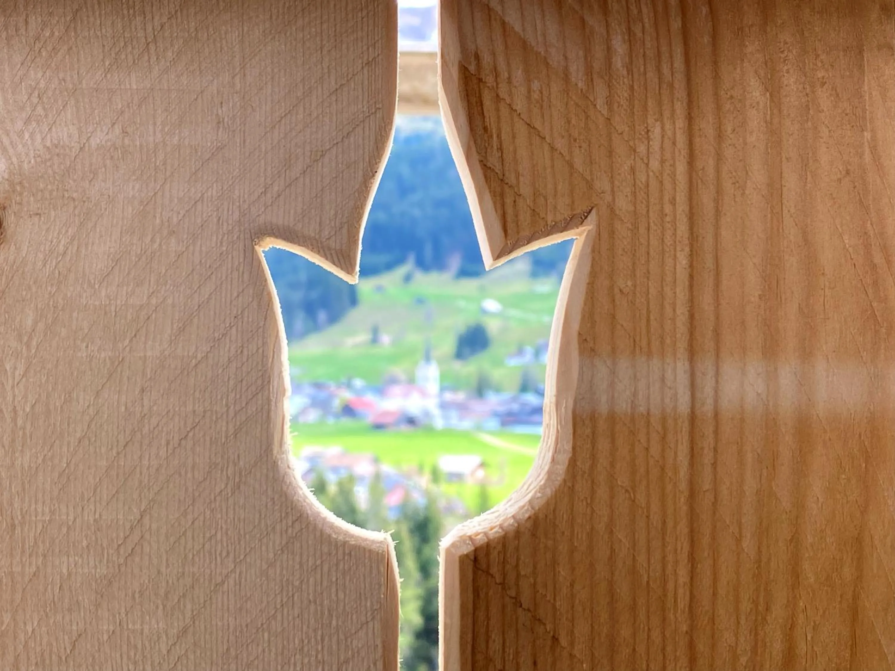 Property building in Hotel Alpensonne