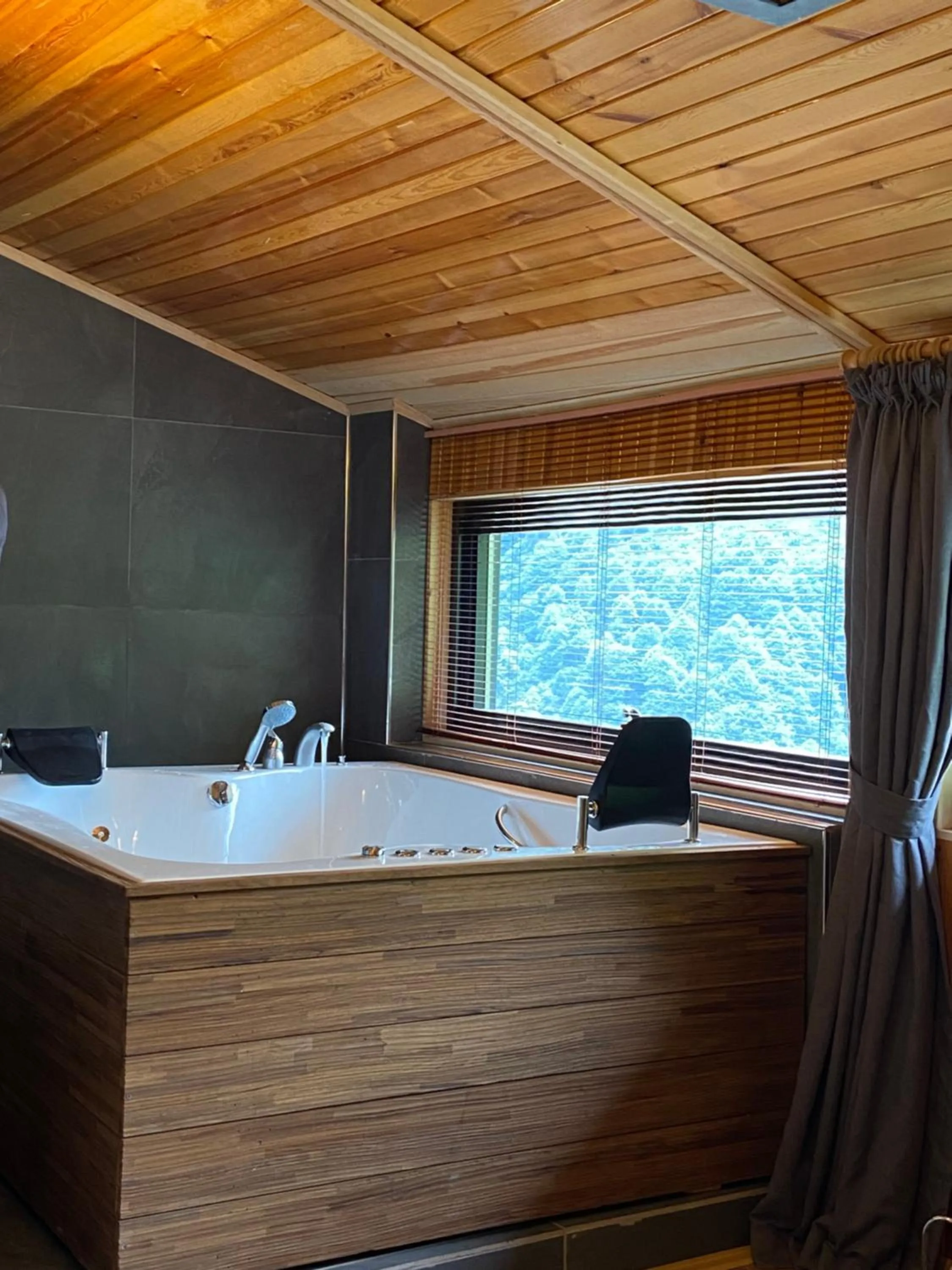 Ayder Villa de Pelit Hotel