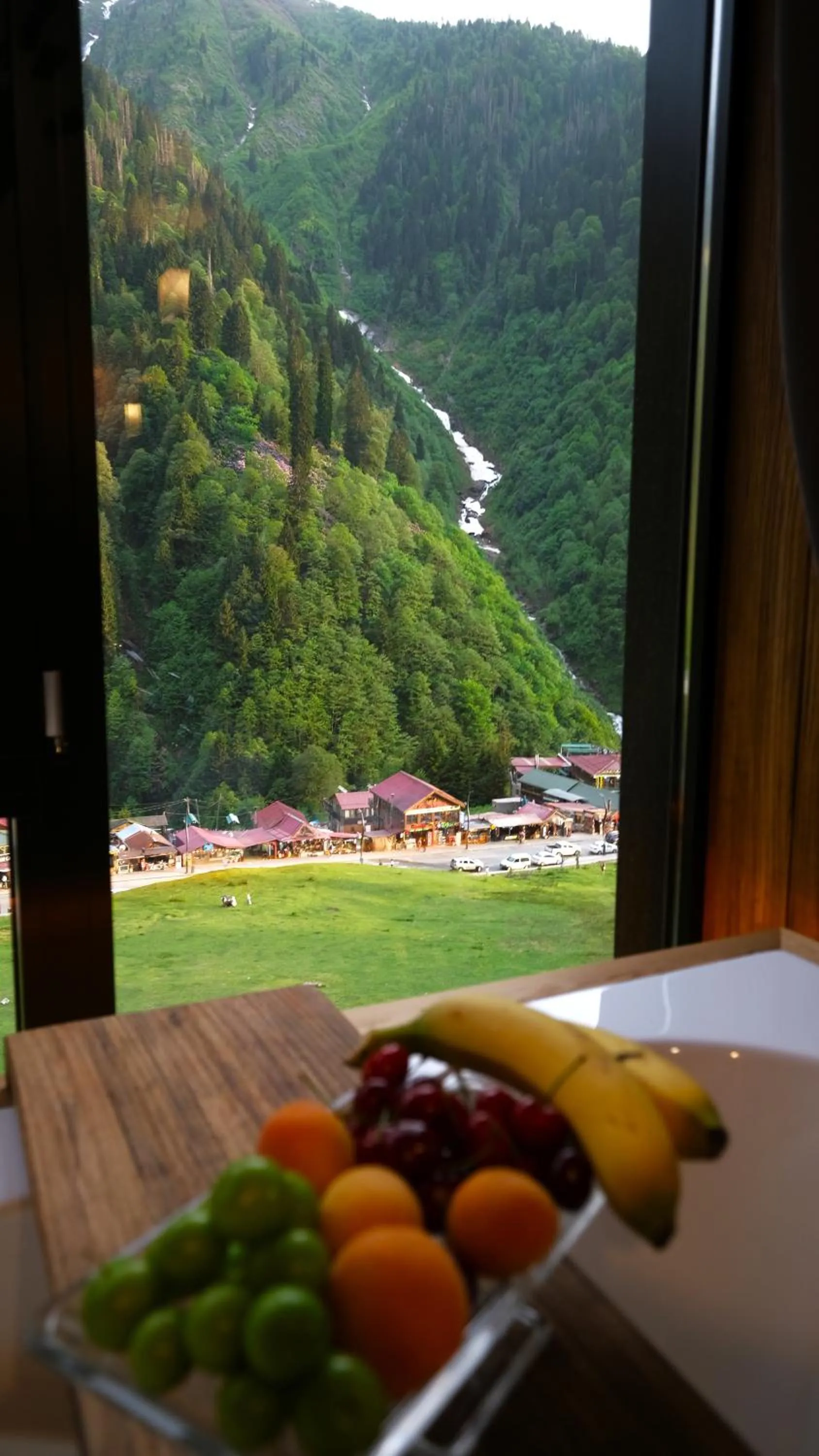 Ayder Villa de Pelit Hotel