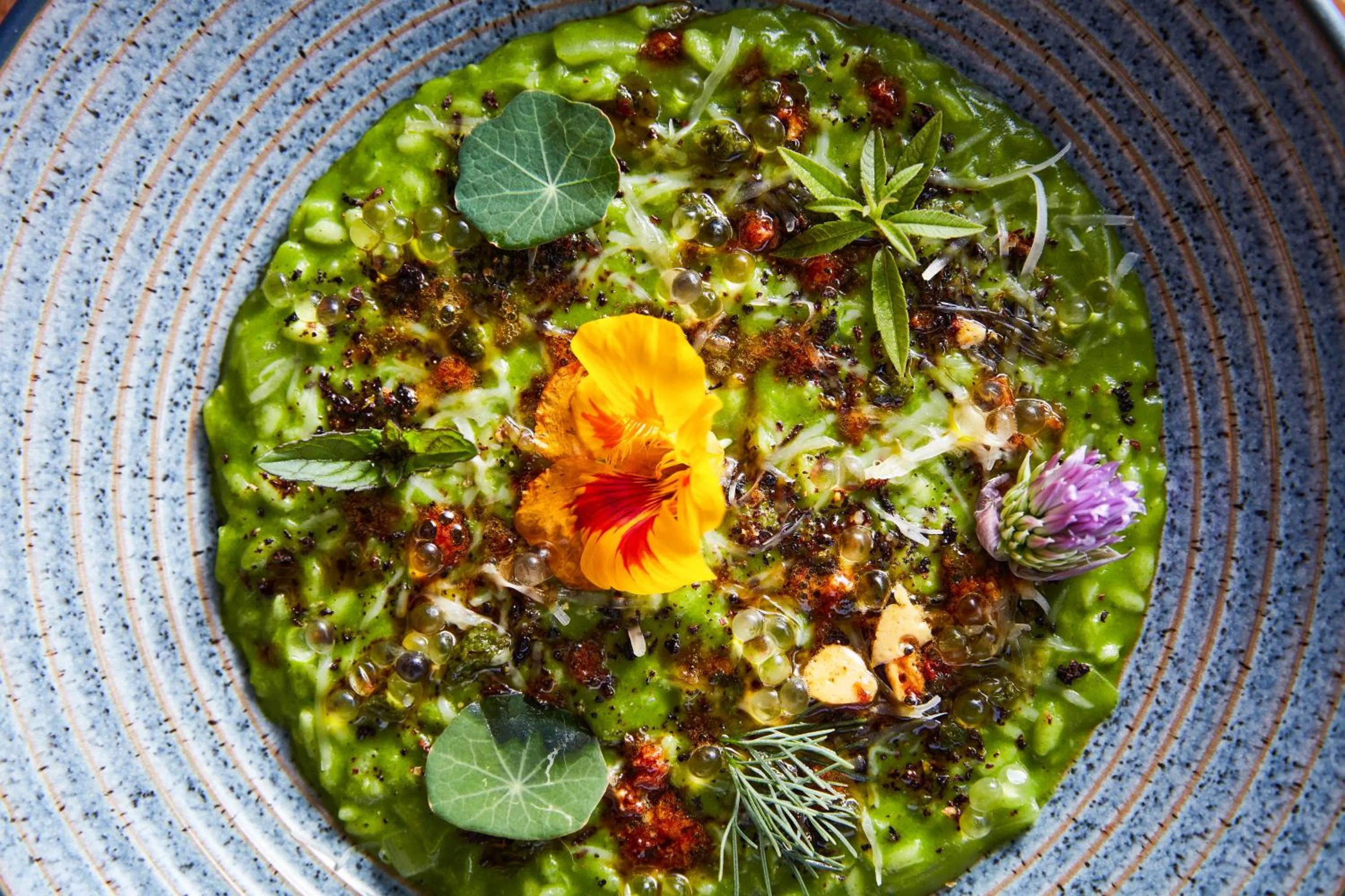 Food in The Plume of Feathers