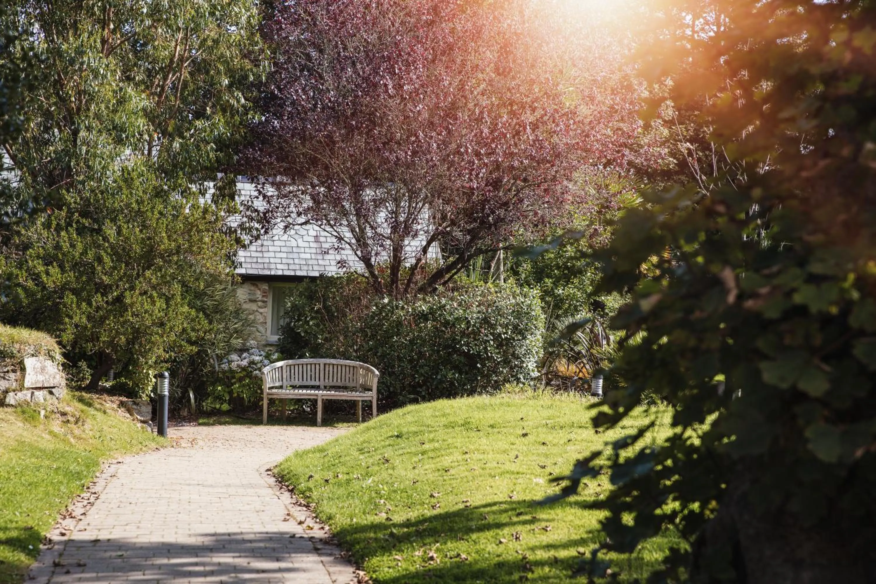Garden in The Plume of Feathers