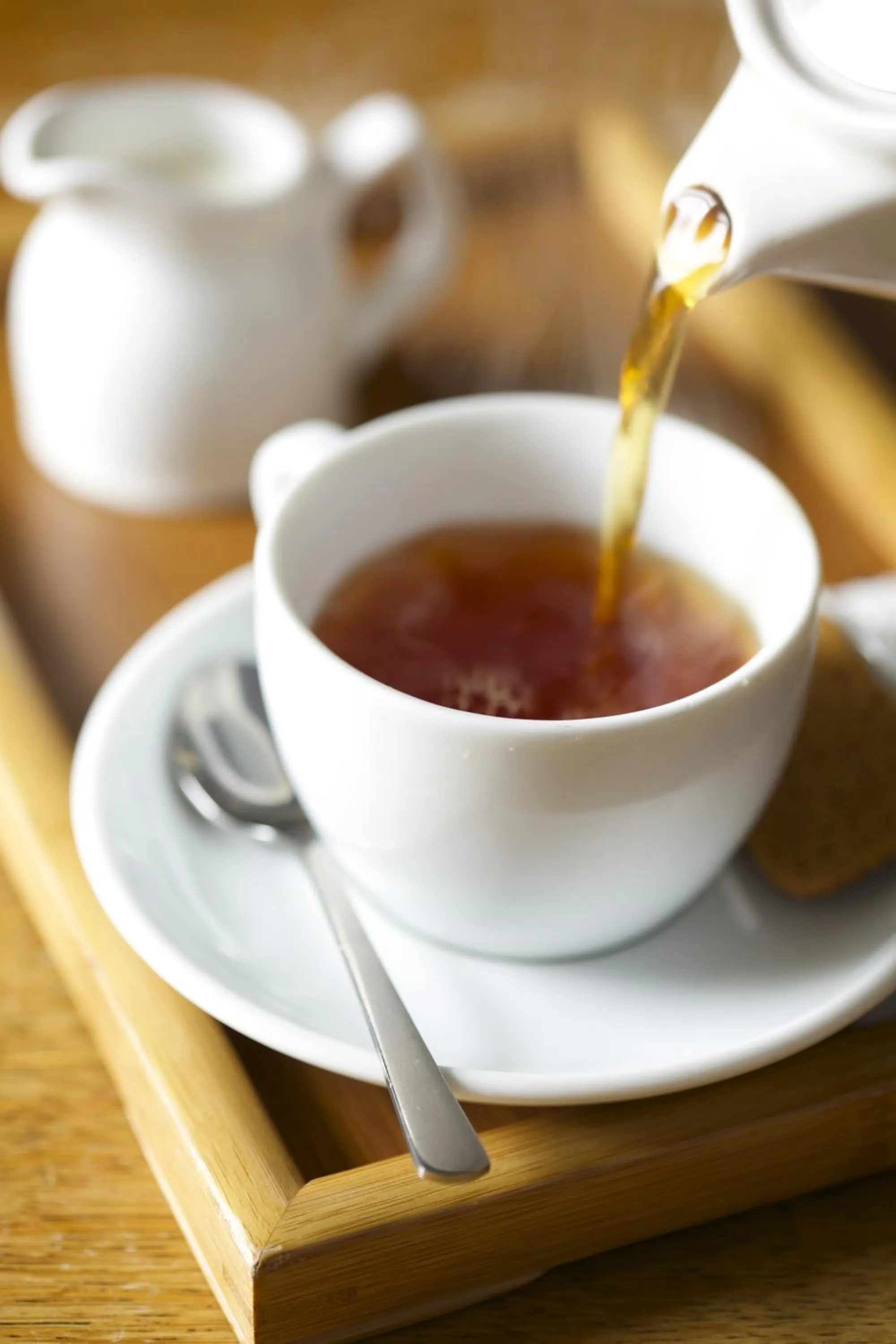 Non alcoholic drinks in The Plume of Feathers