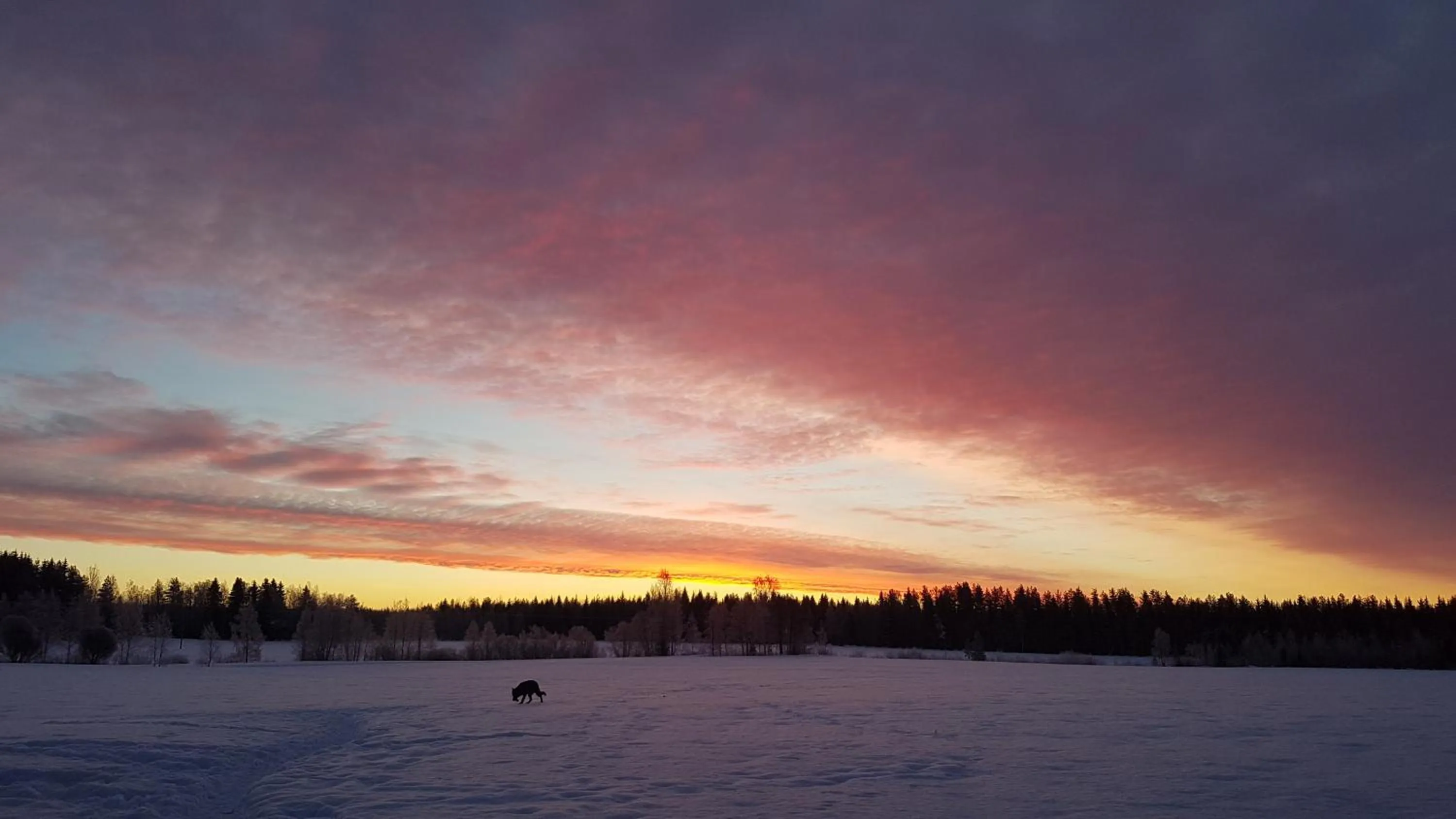 Natural landscape in Motelli Nuttulinna