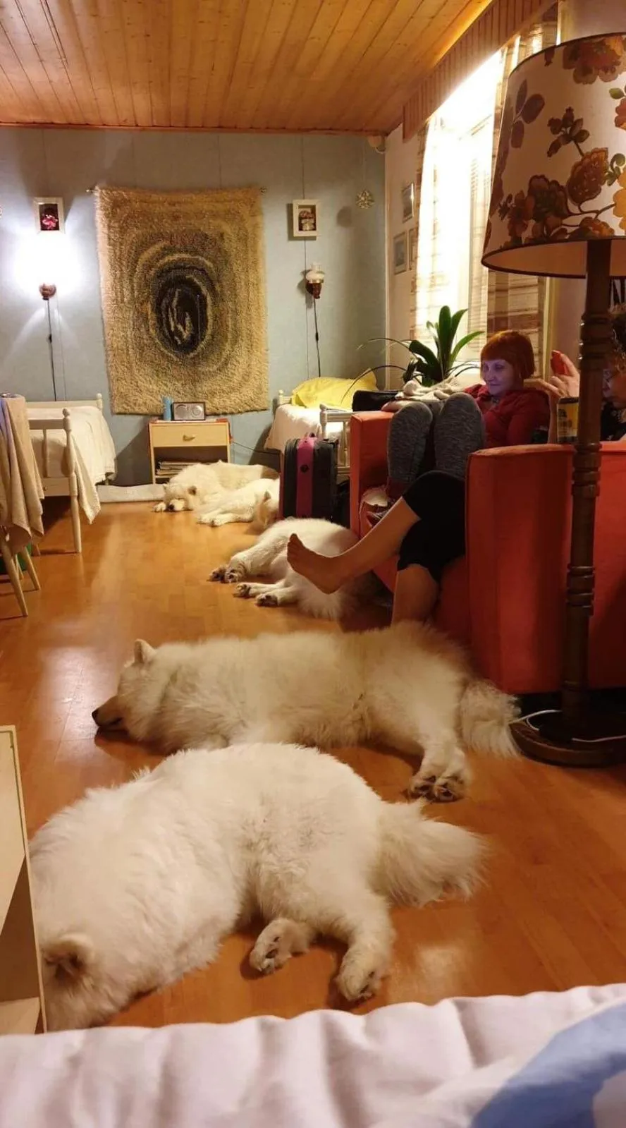 Photo of the whole room in Motelli Nuttulinna