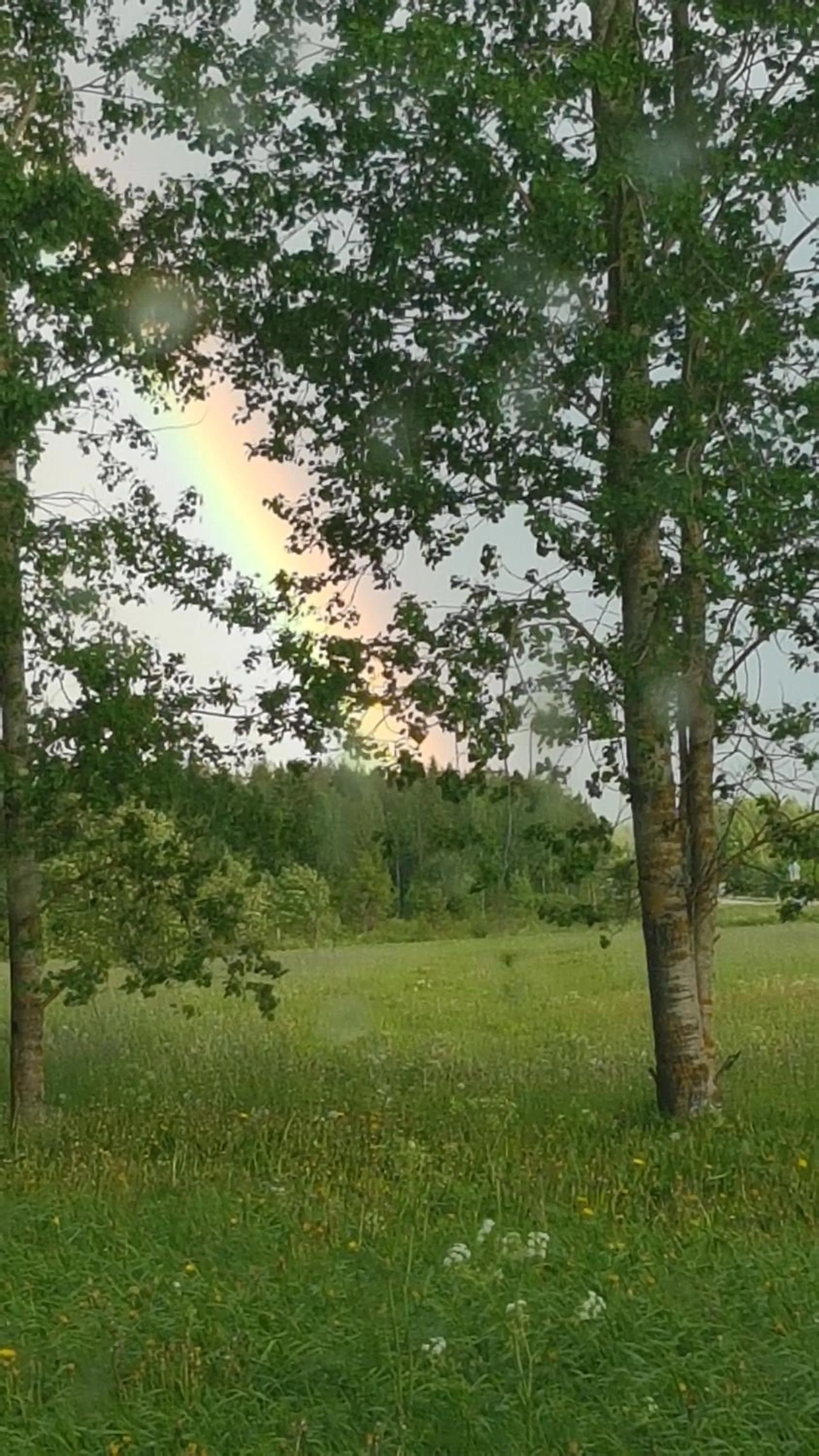 Day in Motelli Nuttulinna