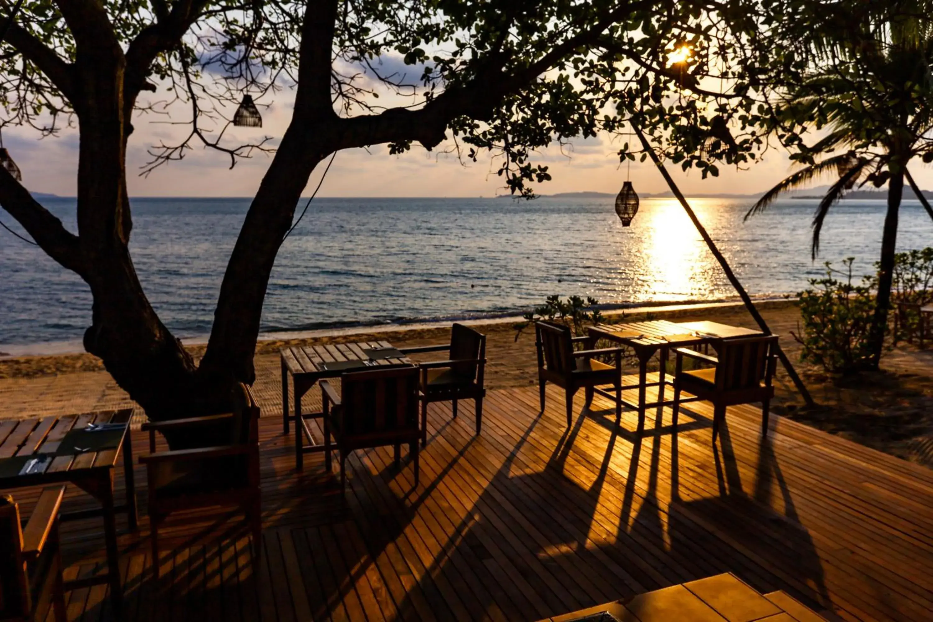 Restaurant/places to eat in Saree Samui Restaurant/places to eat in Saree Samui